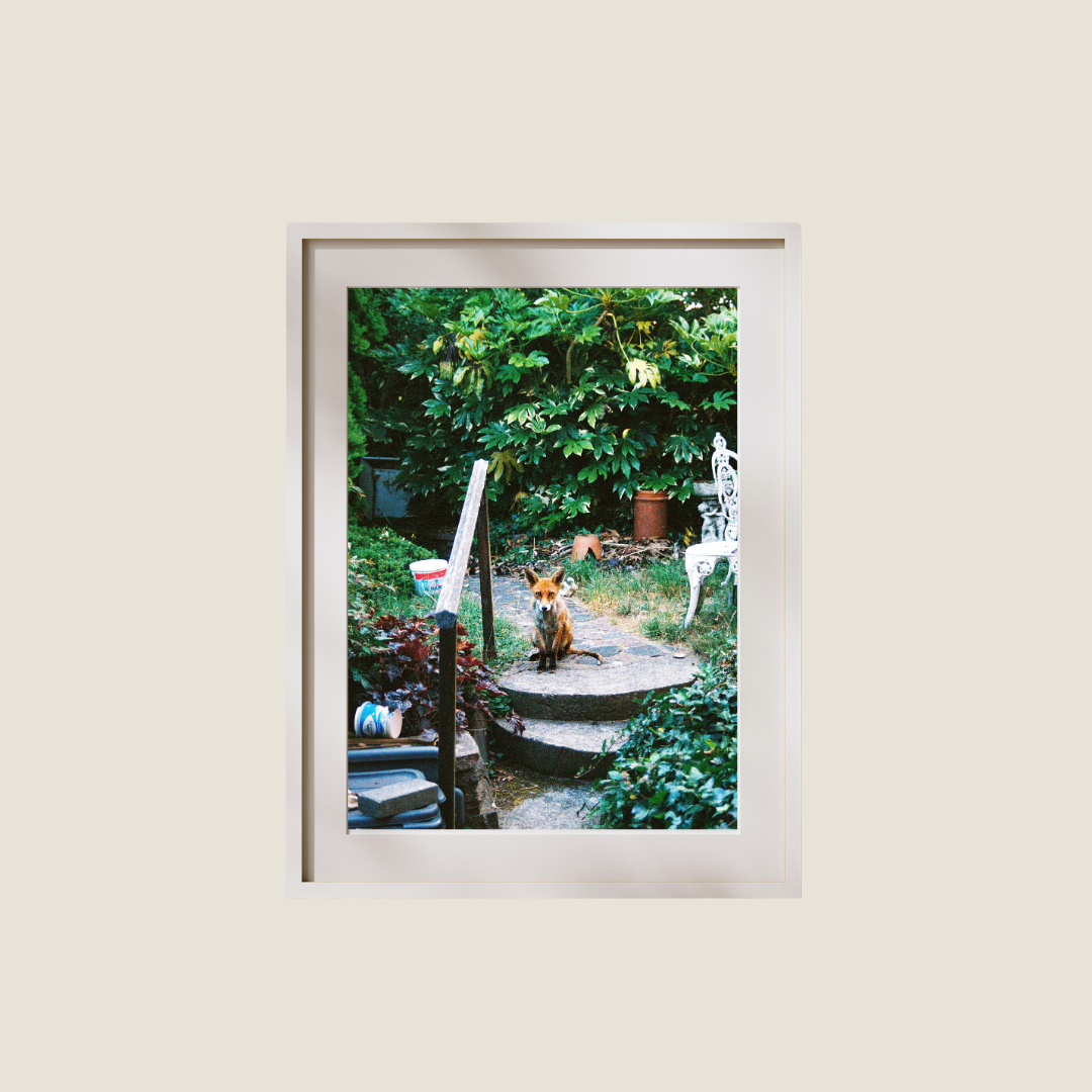 FOX GARDEN PRINT