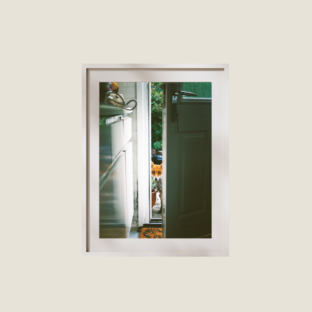 FOX DOOR PRINT