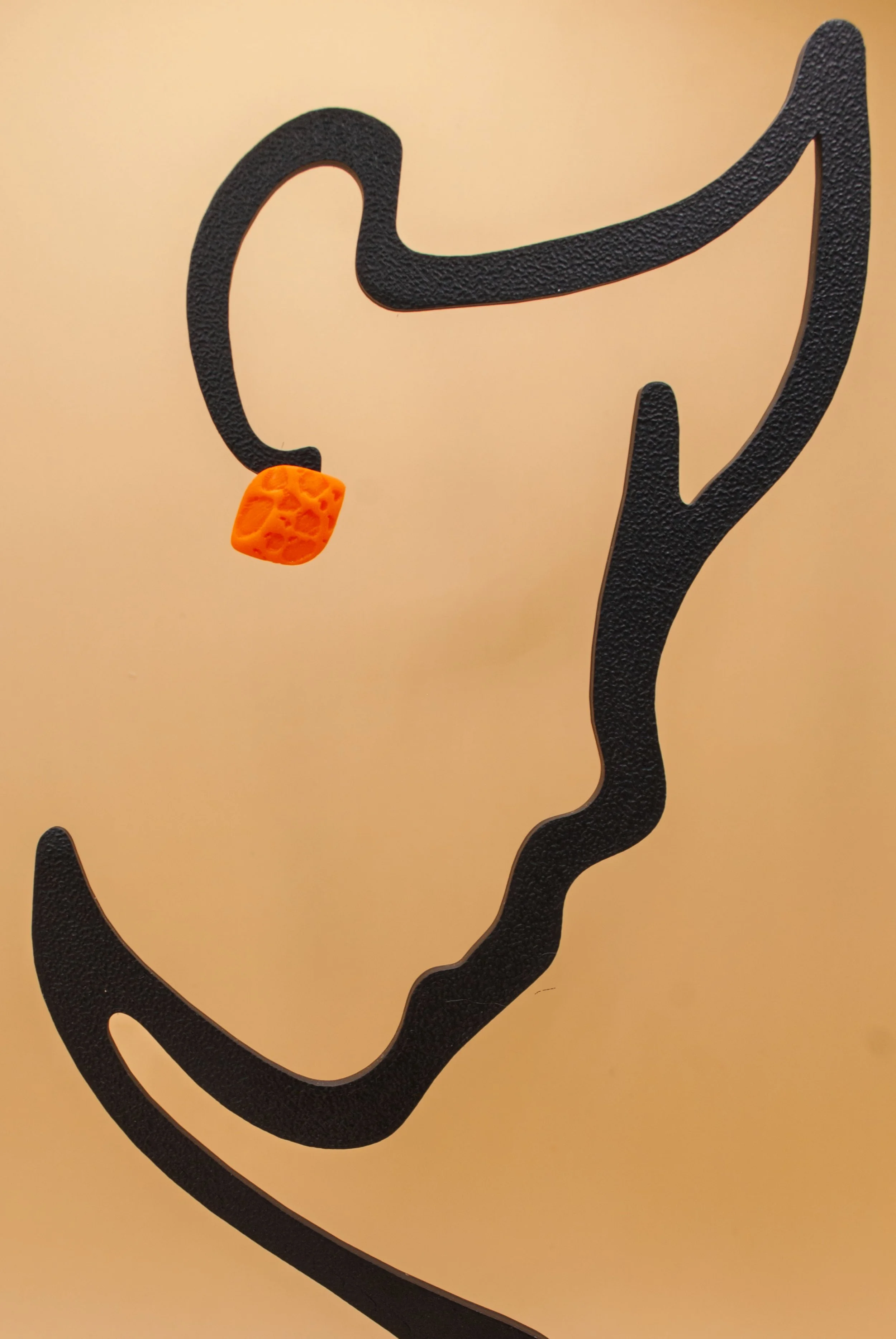 DSC_2856.jpg