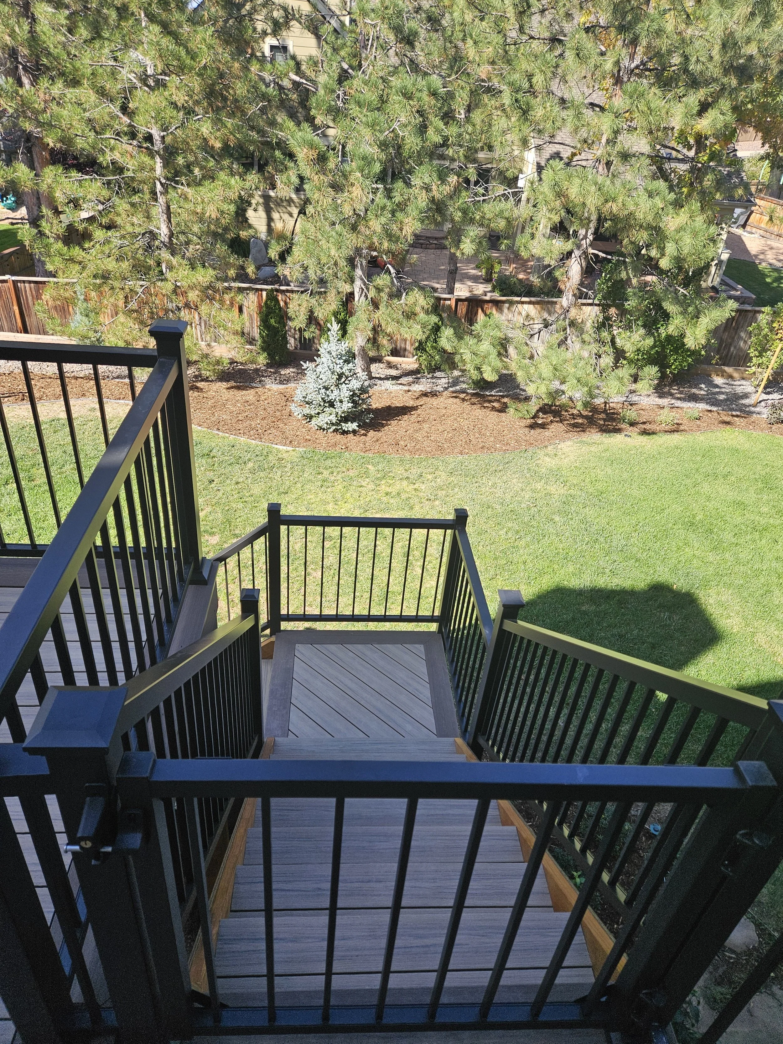 View of backyard from a wooden deck with black metal railing, overlooking a grassy lawn, large pine trees, and a smaller shrub with a young conifer tree nearby.