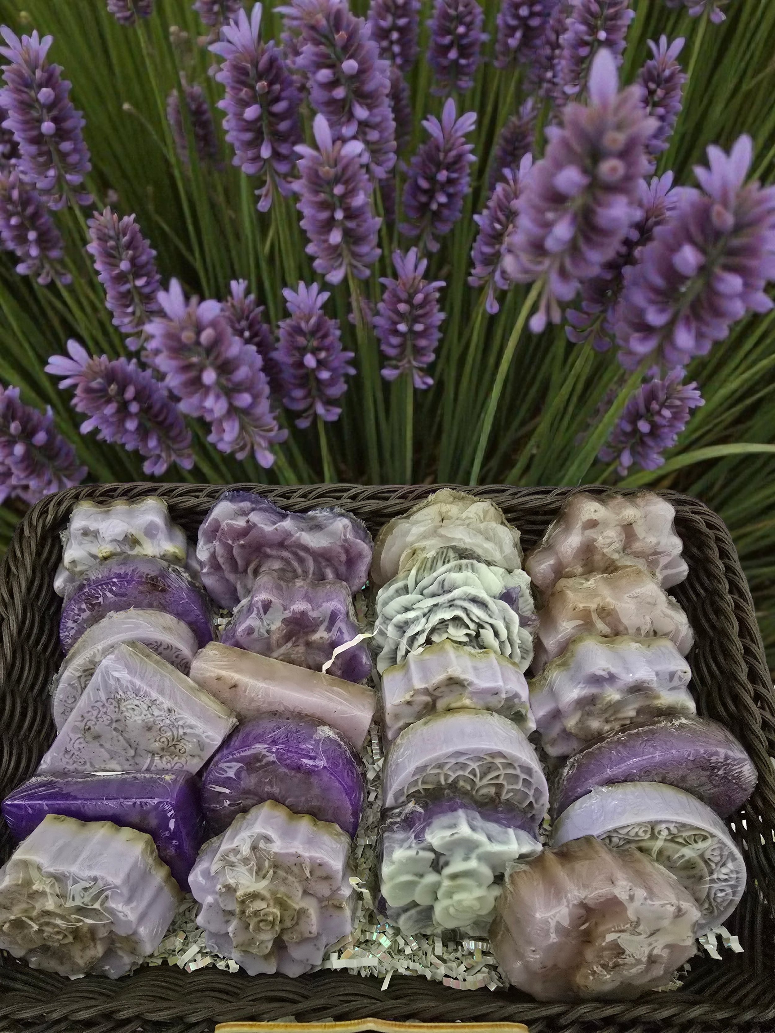 Soap Trays - Various Shapes and Scents