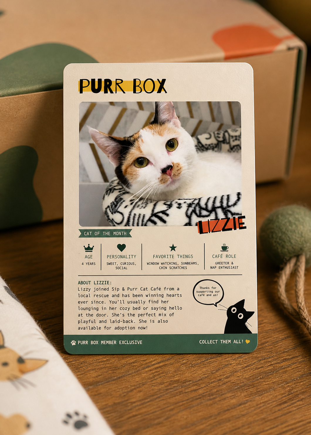 Cat of the month card mockup.png