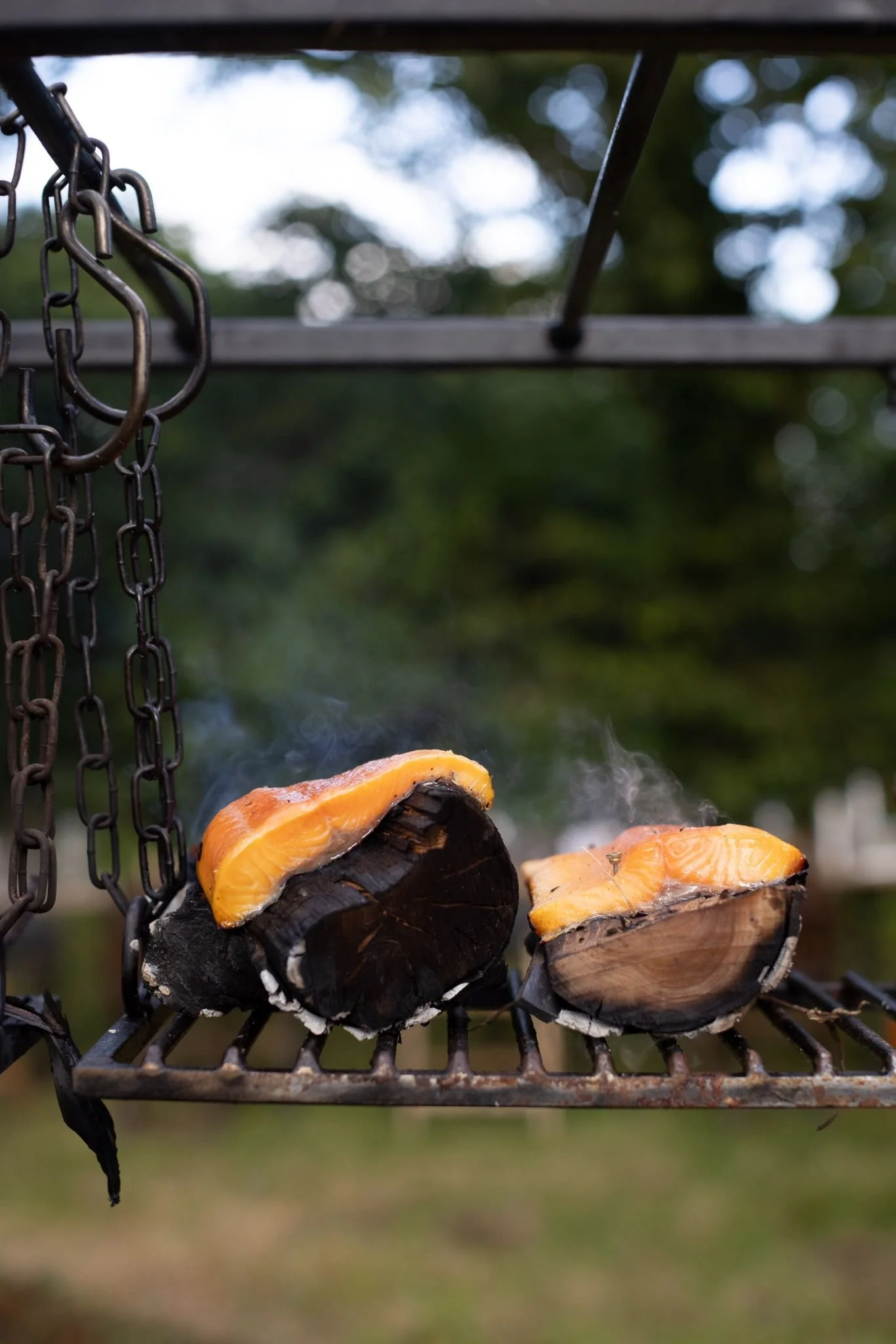 Two pieces of salmon cooking on a grill with smoke.