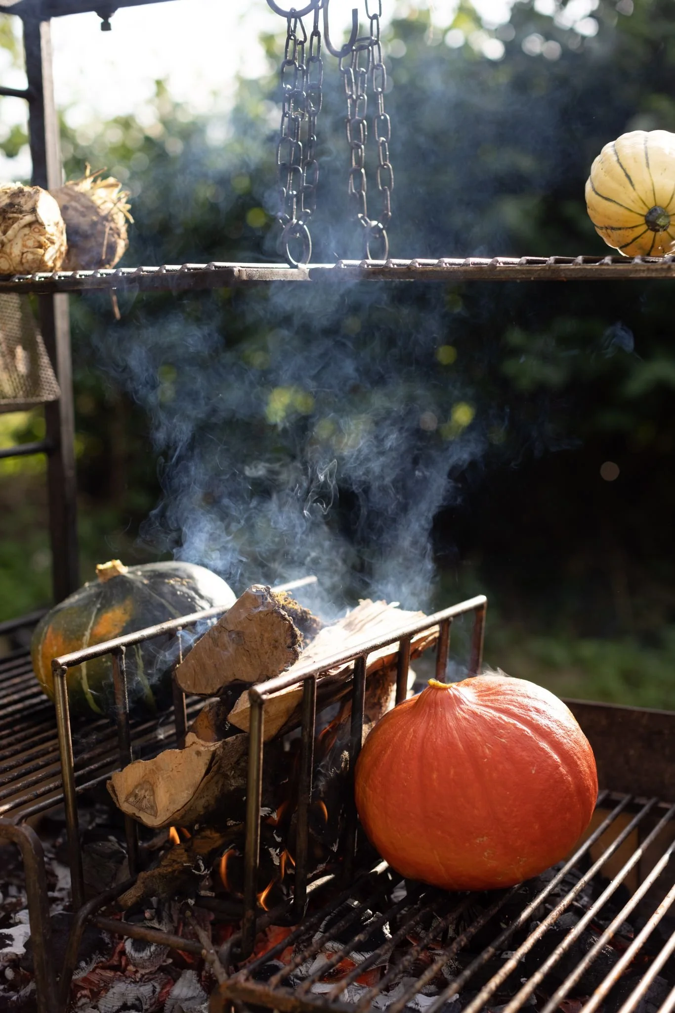 A pumpkin being cooked on a grill with autumn leaves and wood inside, smoke rising from the fire, and other gourds and pumpkins nearby.