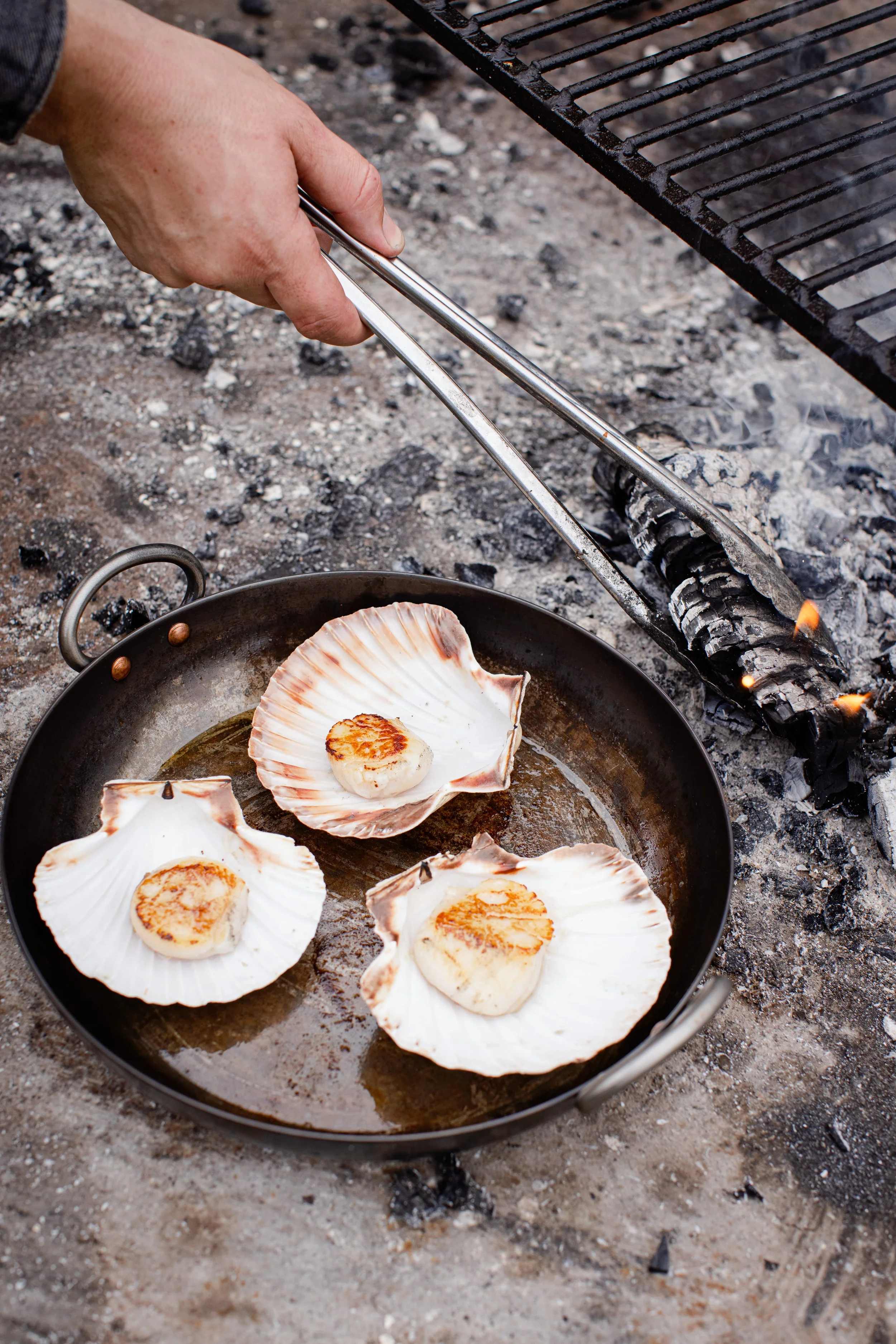 Seafood being cooked on a grill, with scallops shell open in a pan and a person using tongs to cook over charcoal