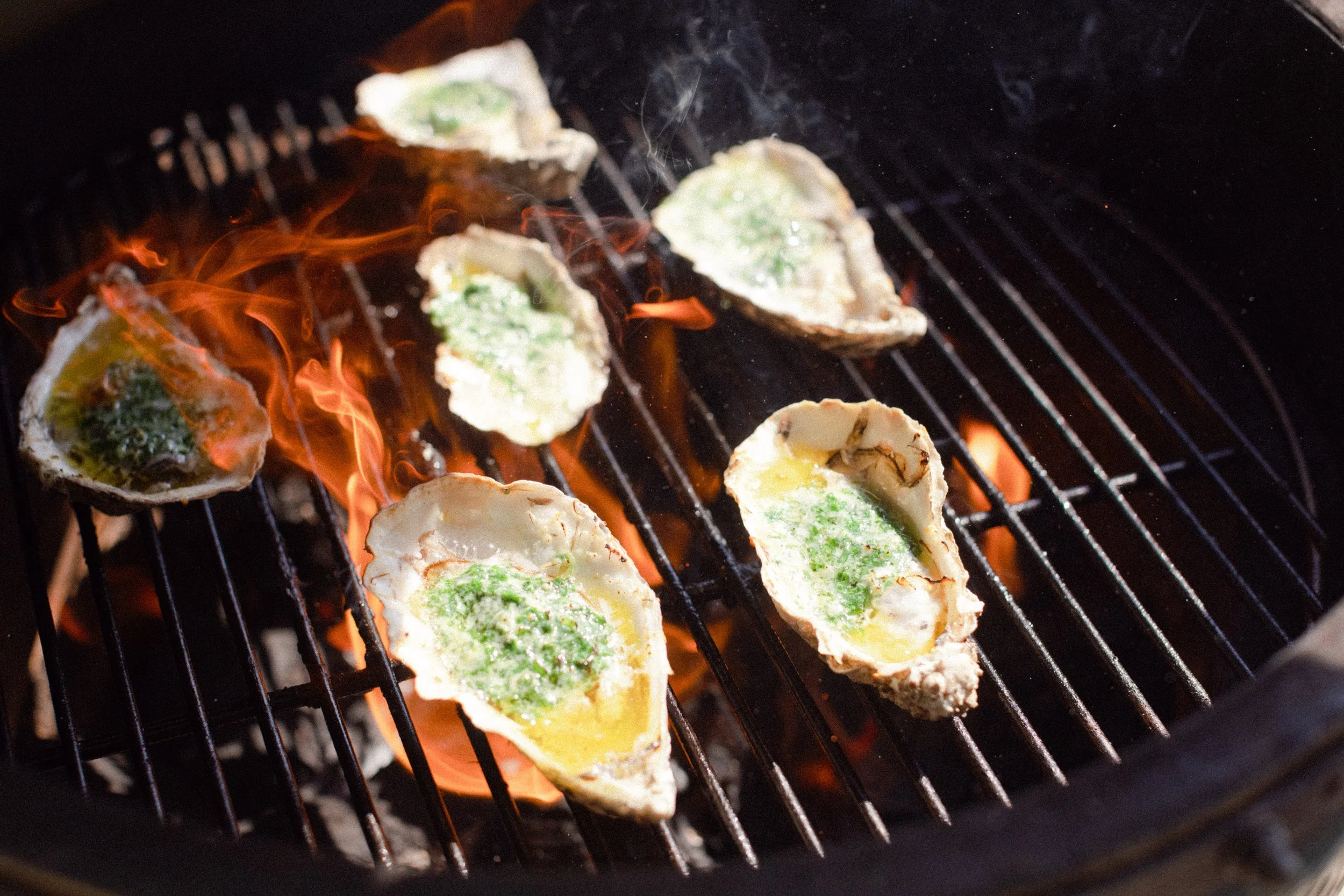 Oysters being grilled on a barbecue with flames underneath.