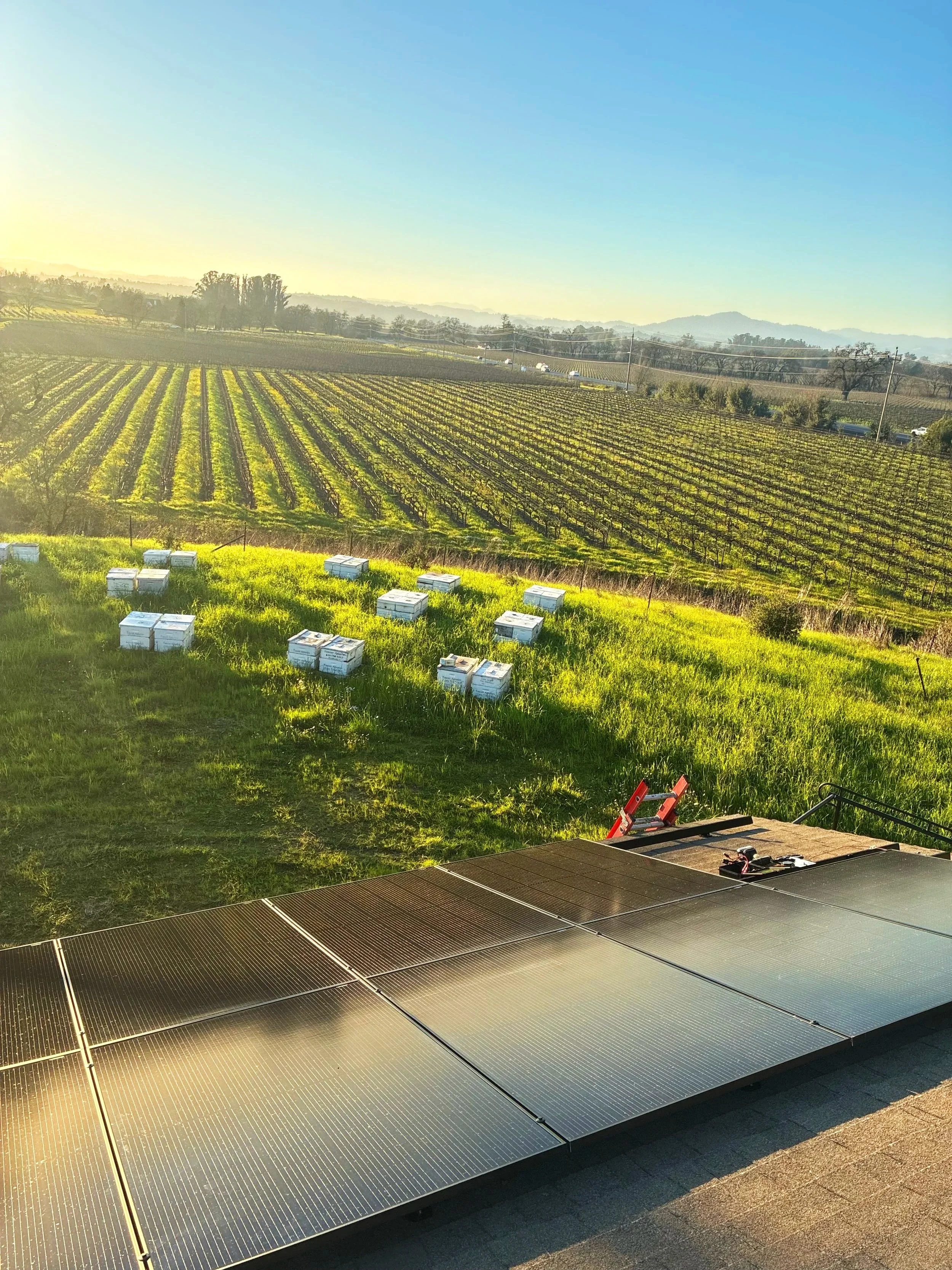 Vineyard solar array wired by Collins Electric, a commercial electrician for farms and businesses around Sonoma, CA.