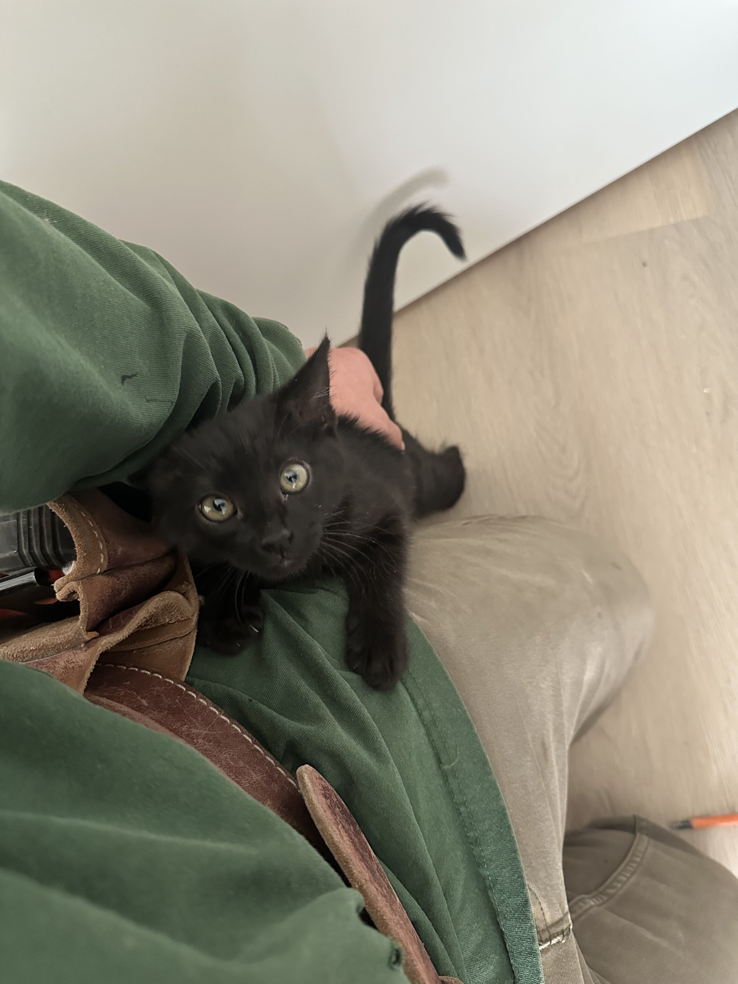 multi family service work Windsor performed by Collins Electric