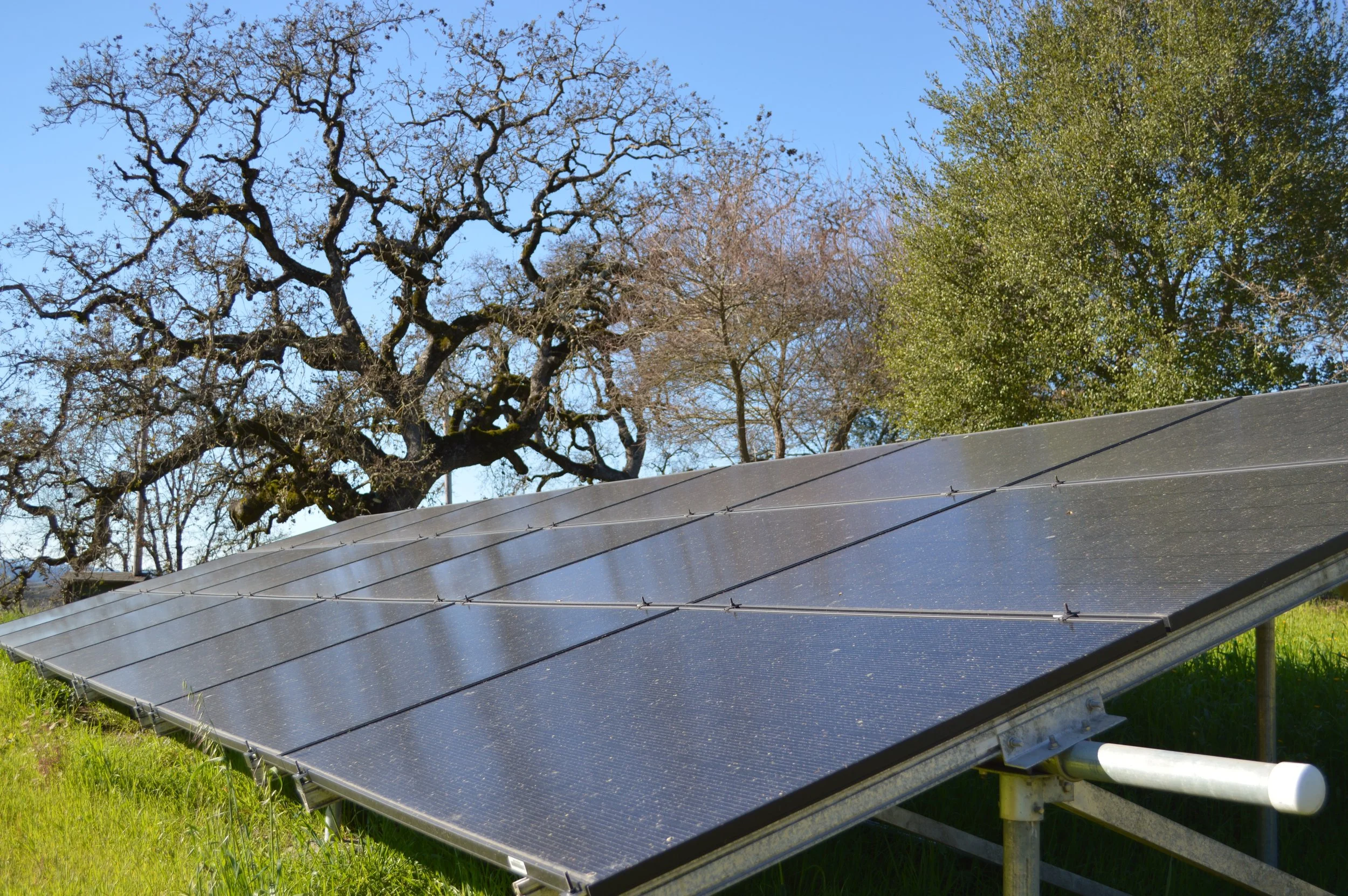 ground mount solar array Windsor Russian River Valley upgraded by Collins Electric