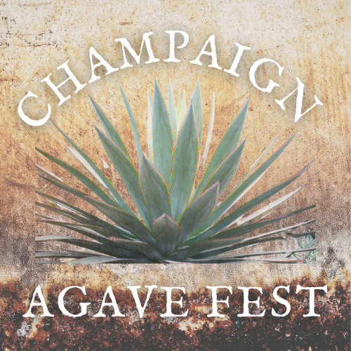 Poster with a large agave plant and the text "Champagne Agave Fest" in white letters on a rustic background.