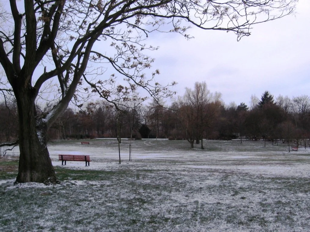 Parque com árvores sem folhas, gramado com neve e bancos de madeira vermelhos. Volkspark Hasenheide, Berlim, inverno.