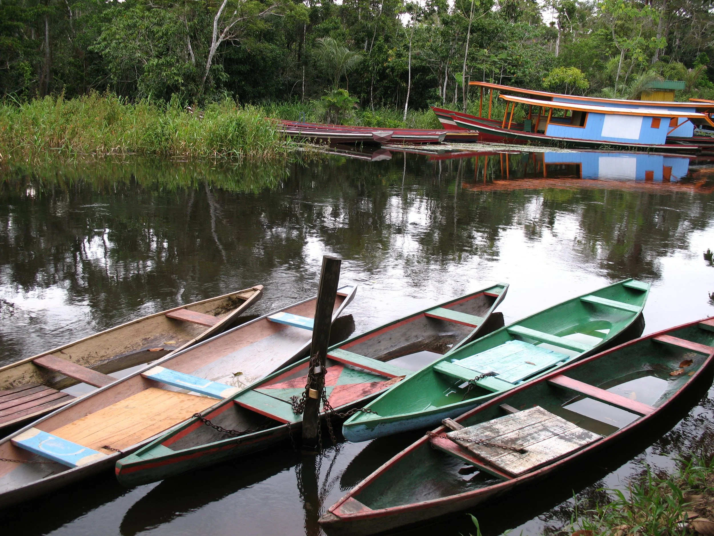 Vários barcos de madeira atracados em um rio cercado por vegetação densa e árvores, com uma casa de barco azul ao fundo. Rio Moa, perto de Cruzeiro do Sul, Acre, Brasil. 