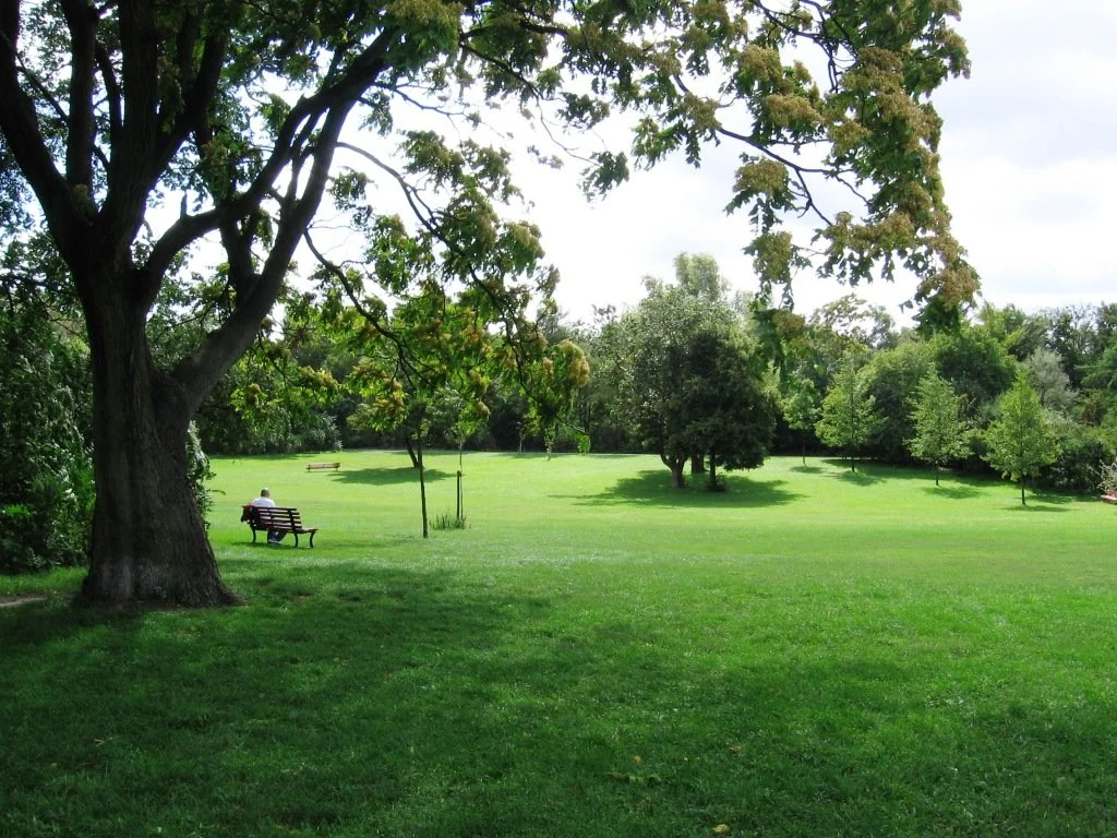 Parque com árvores e um banco, uma pessoa sentada e um céu parcialmente nublado. Volkspark Hasenheide, Berlim, verão.