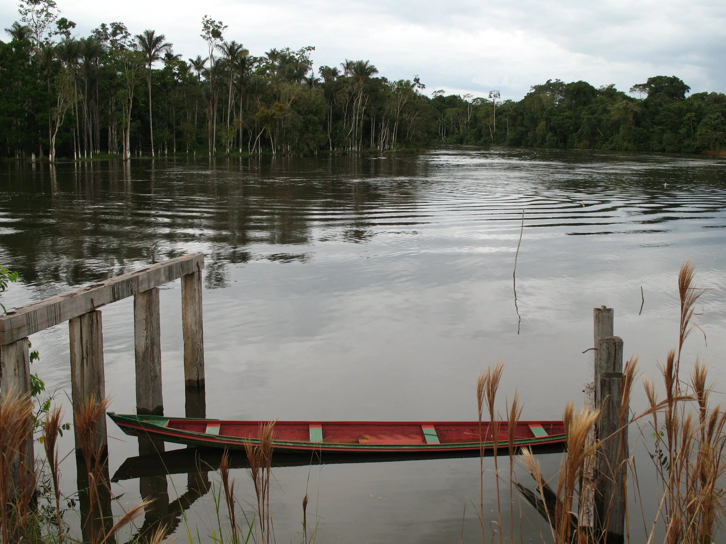 Vista de um rio calmo com uma lancha vermelha na água, cercada por vegetação e árvores ao fundo, céu nublado. Rio Moa, perto de Cruzeiro do Sul, Acre, Brasil. 