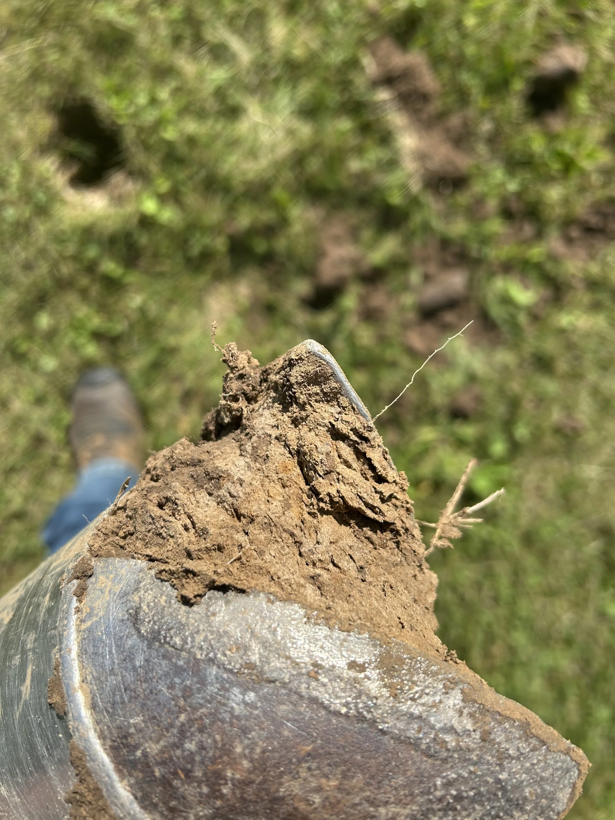 How to Prepare for a Septic Compliance Inspection