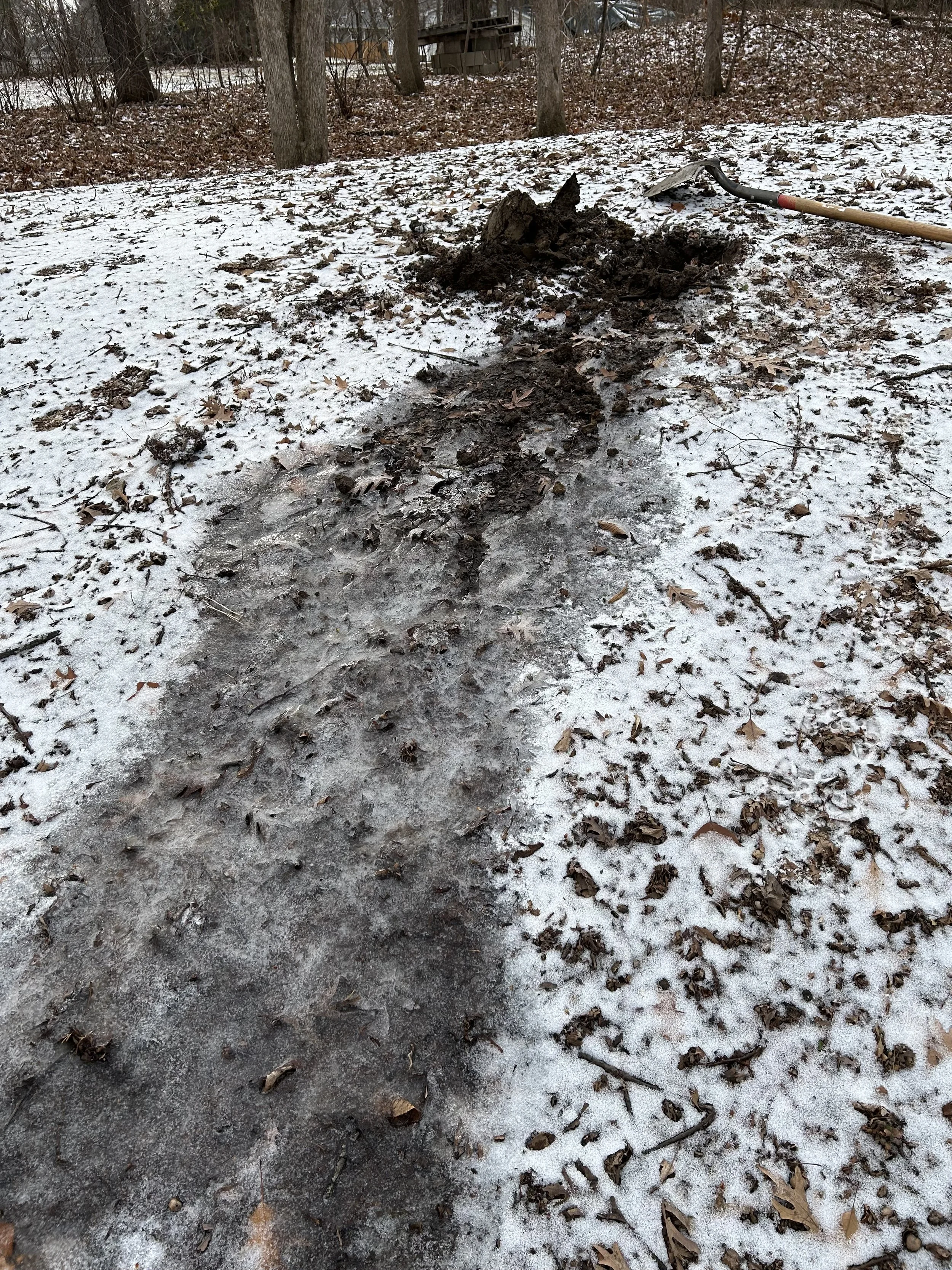 What to Do When Your Septic System Backs Up