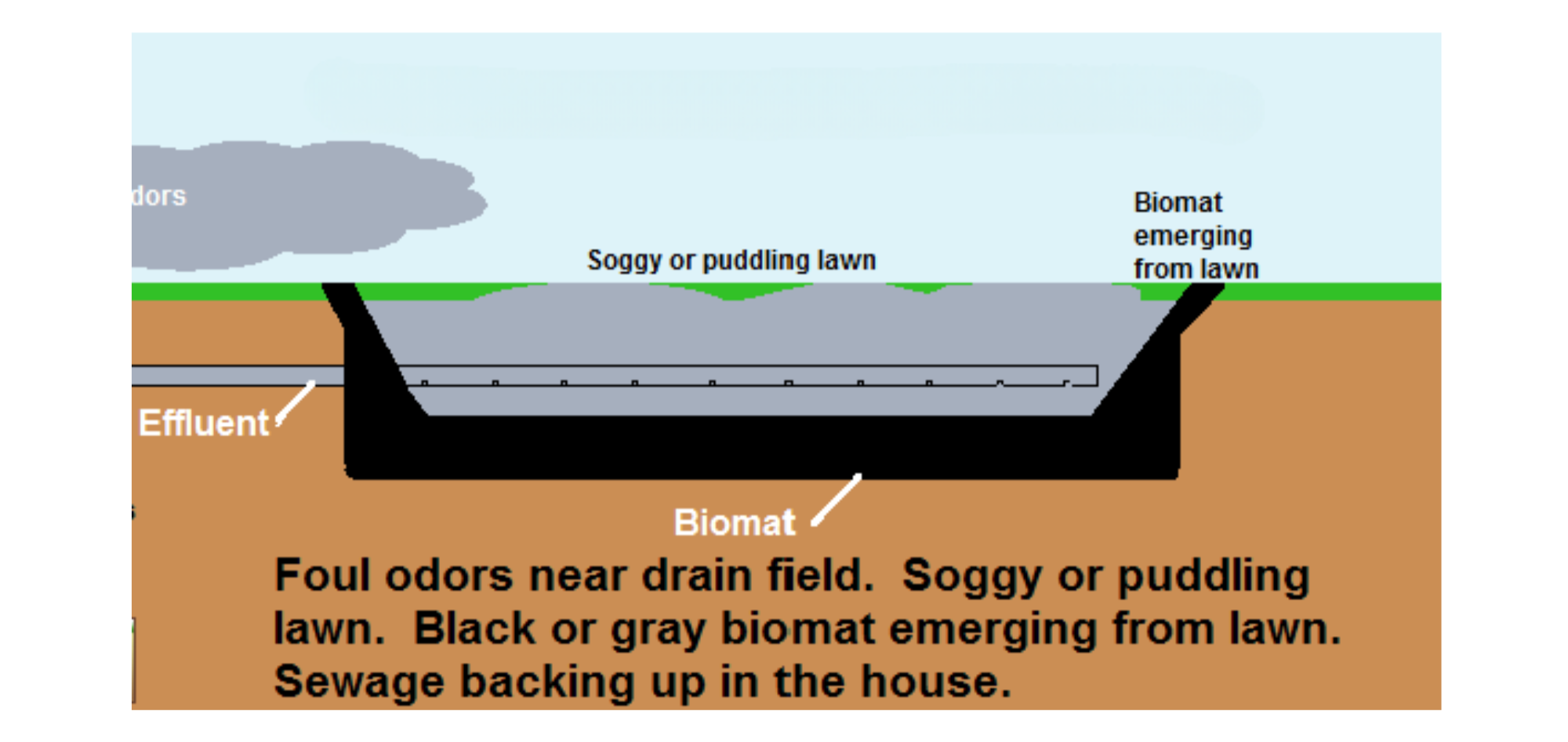 Signs Your Drainfield Is Slowing Down (and What to Do Next)