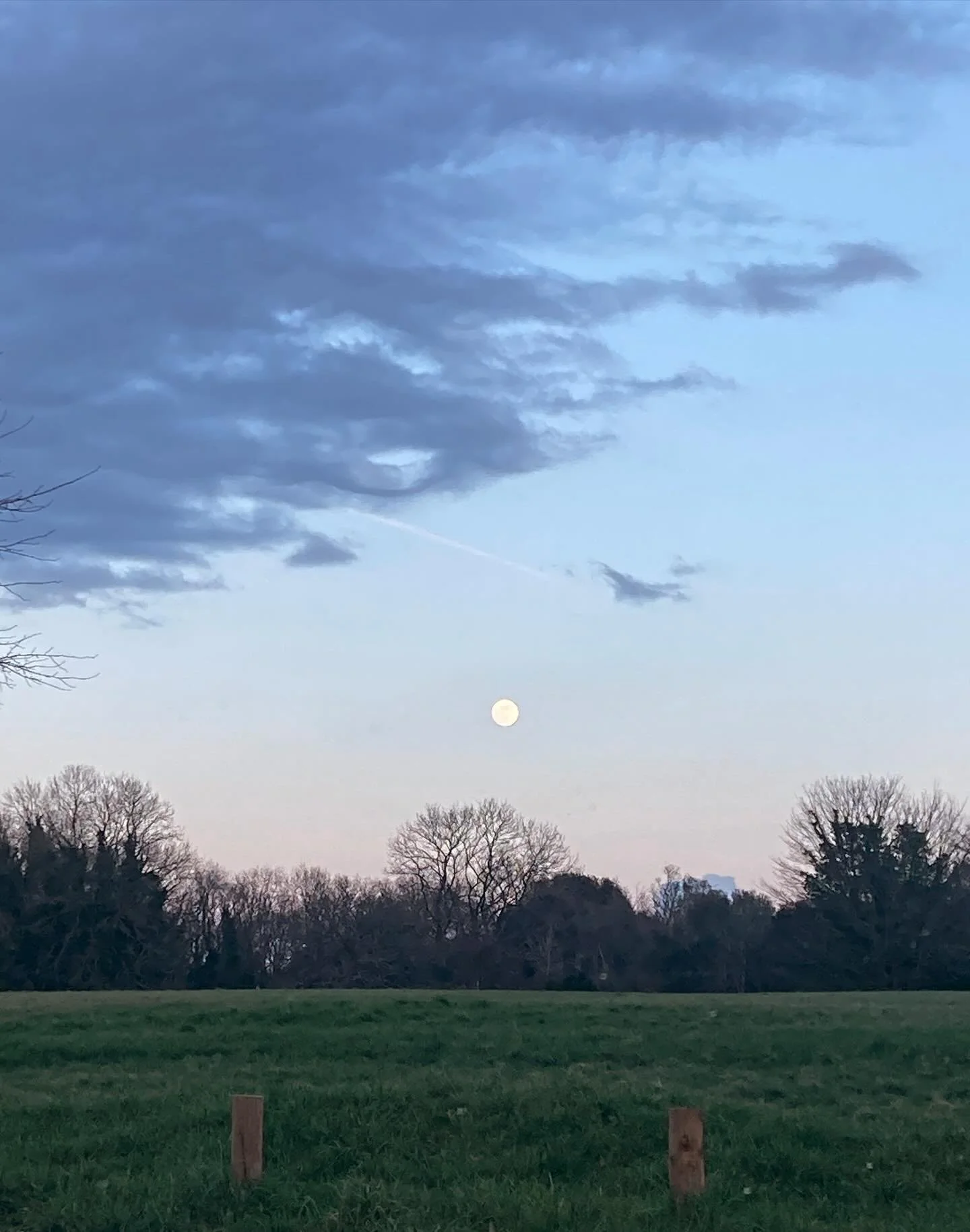 Full Worm Moon 🌕🪱 

Tonight is March&rsquo;s full moon - the Worm Moon, named this for the peeking earthworms in the soil. Also known as the Crow Moon for the cawing crows symbolising the end of Winter or the Plough Moon for the time to turn soil r