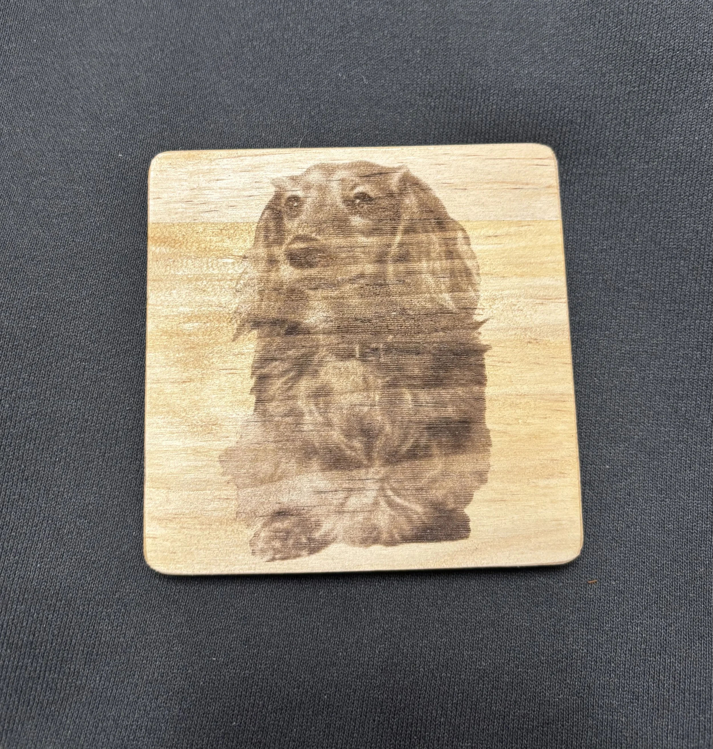 Dog Coaster.jpg