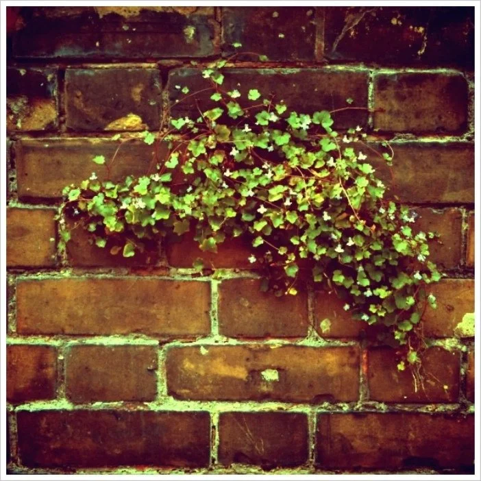 Air for Effect - "Methylation Breeze EP" All Performance and Production/Mixing/Mastering