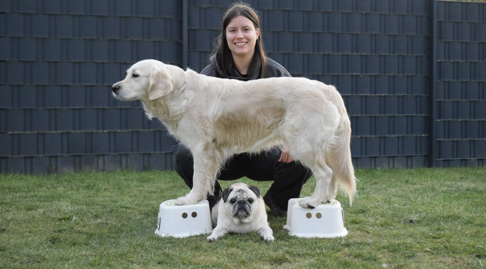 Bild von der Inhaberin mit ihren beiden Hunde