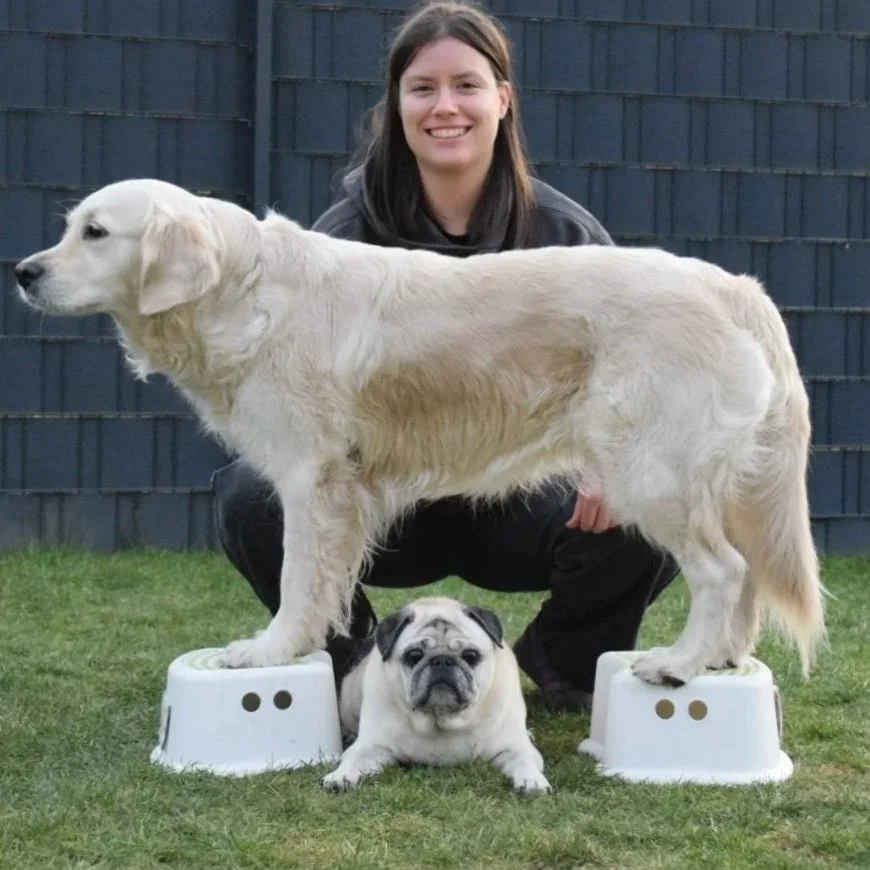 Die Inhaberin hockt vor hinter ihren beiden Hunde