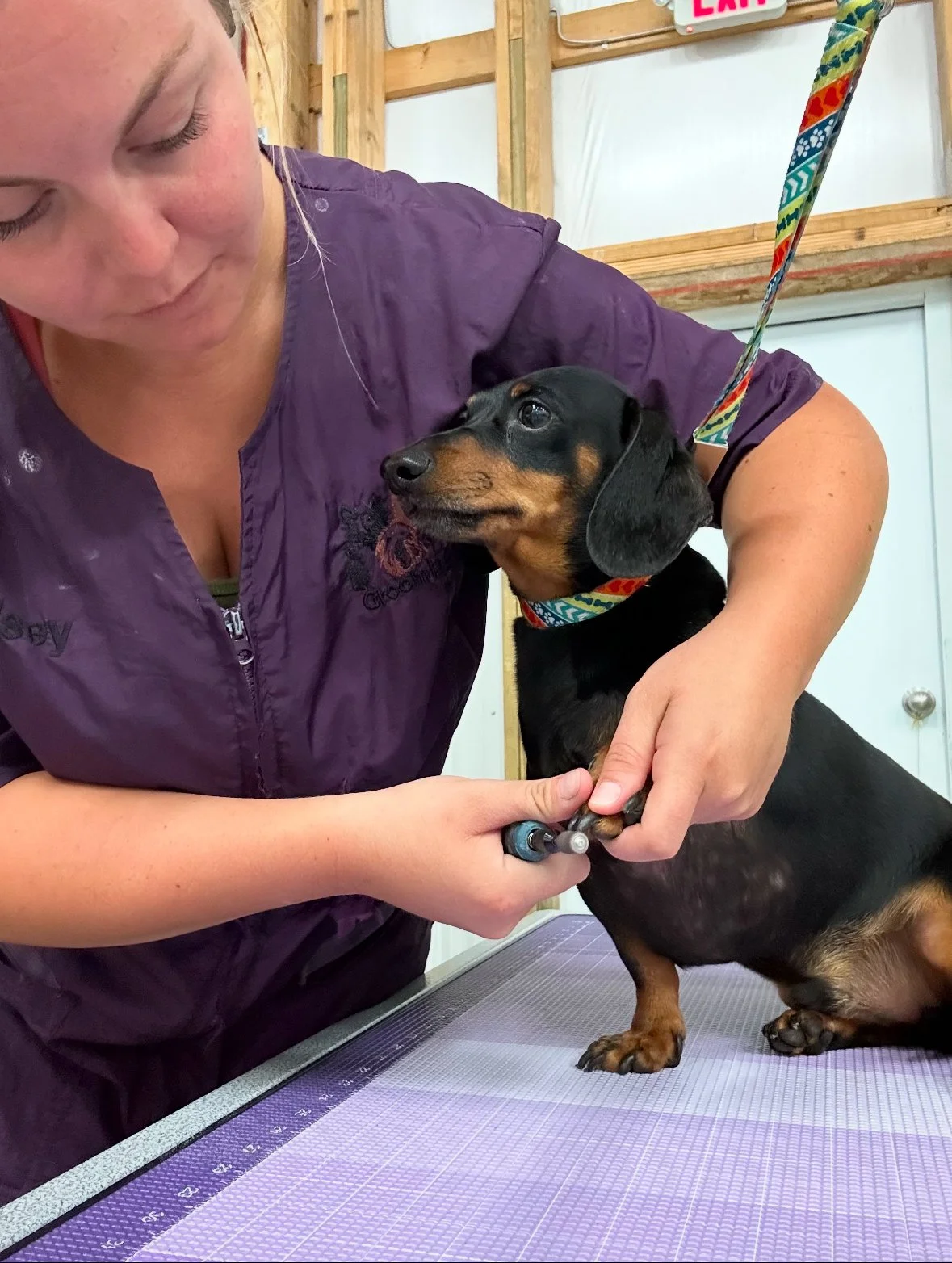 A woman in a purple uniform giving a dog a vaccination or shot on a table in a veterinary clinic.