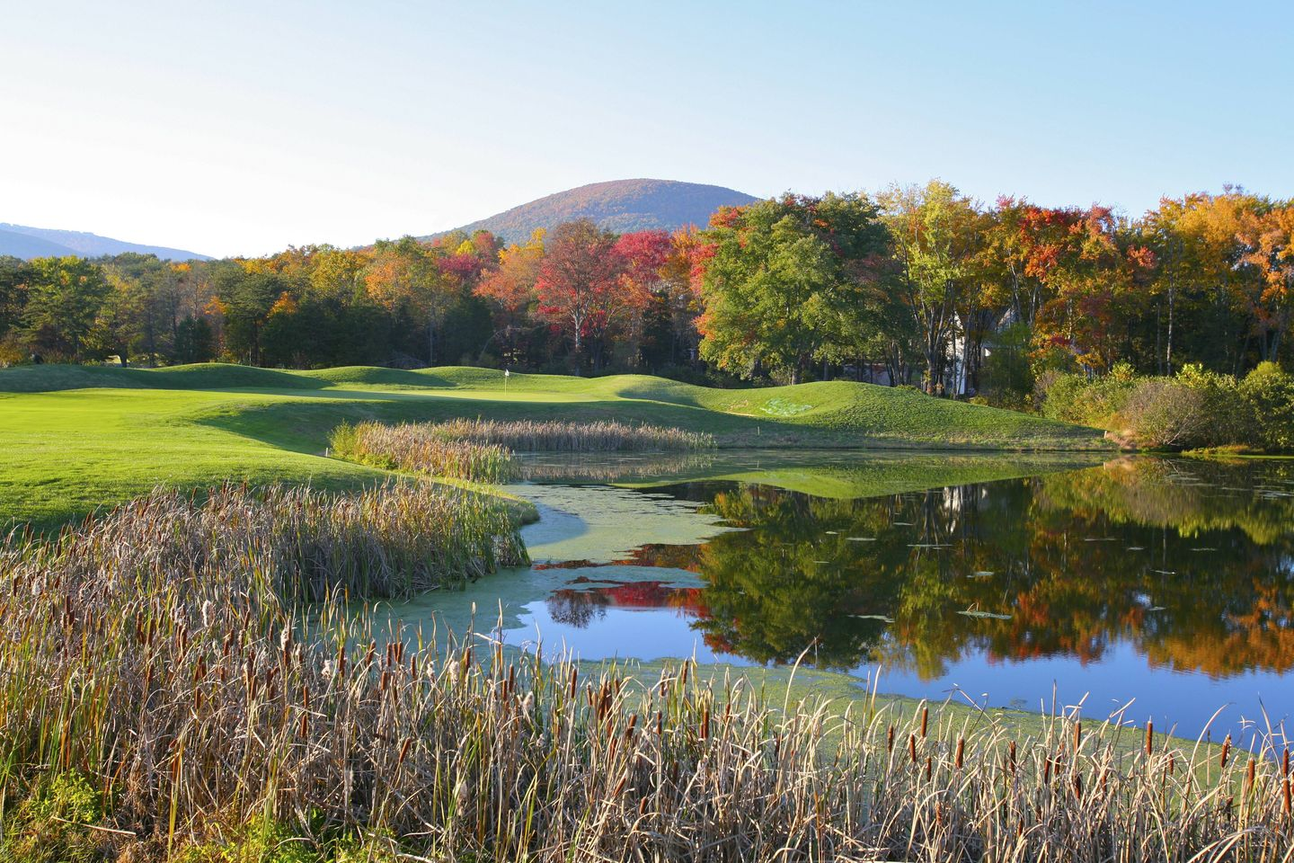 Contact Agent Randy Thompson for all of your real estate needs in Nelson County Virginia and Wintergreen Resort.