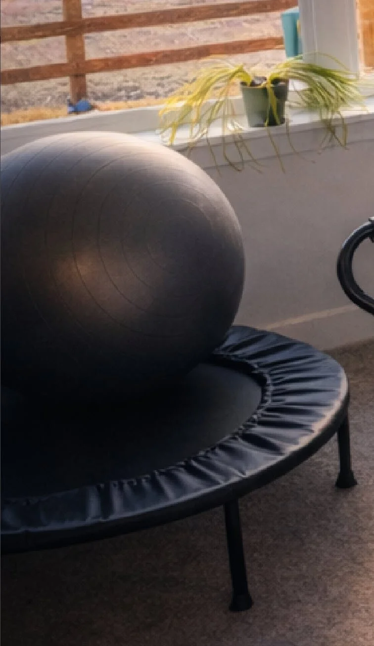 Exercise ball.jpg