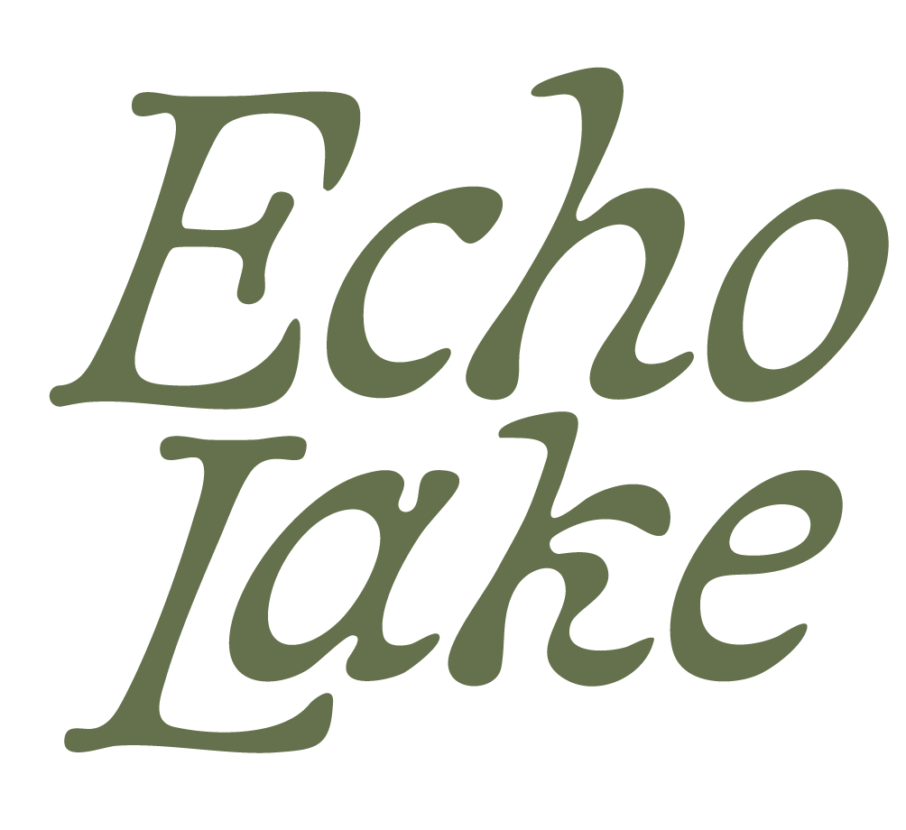 Text reading 'Echo Take' in green cursive font on black background.