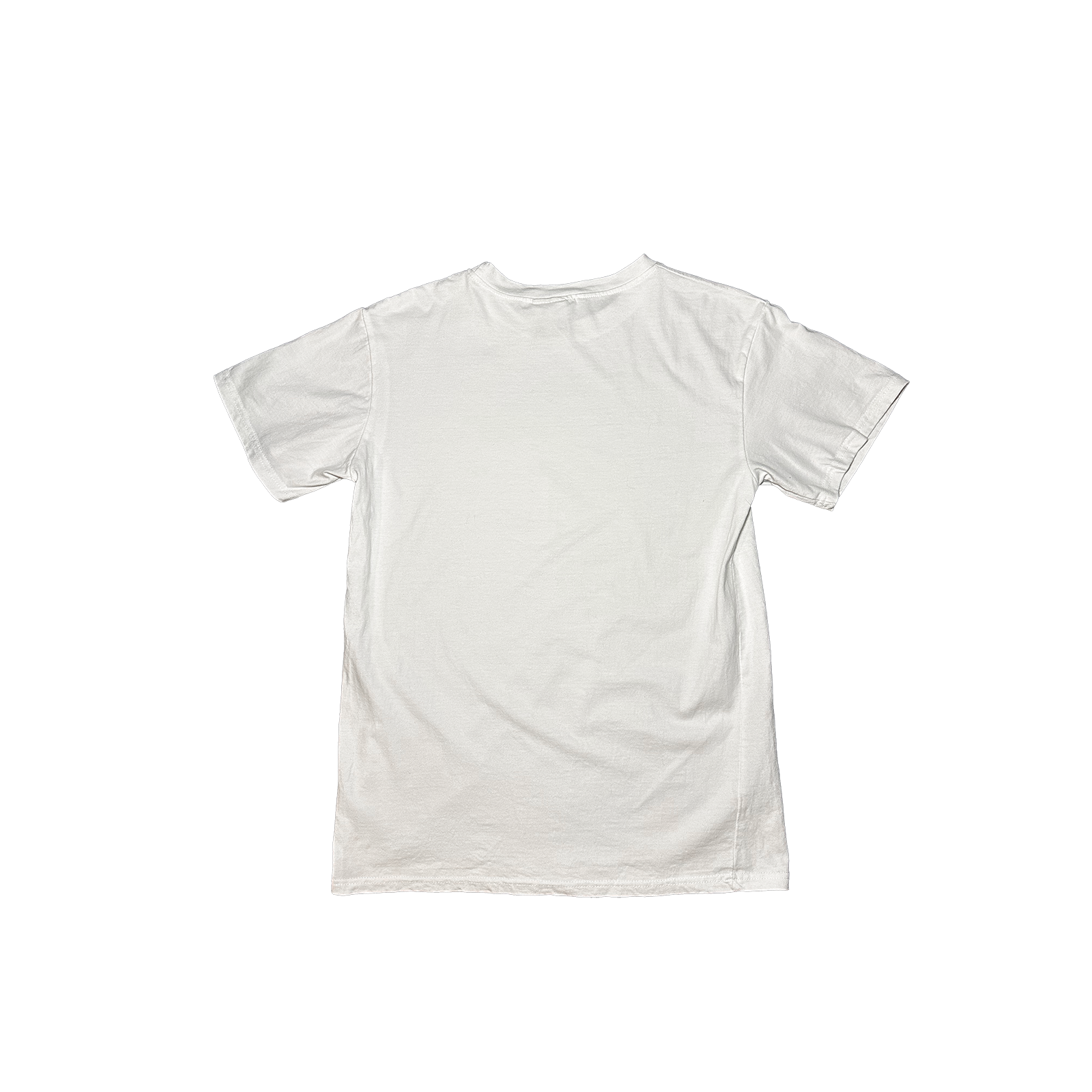 00010 Diet back copy.png