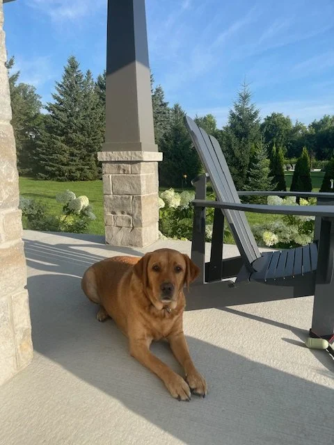 entrance to Karen Boville therapy office in Manotick with calm dog present
