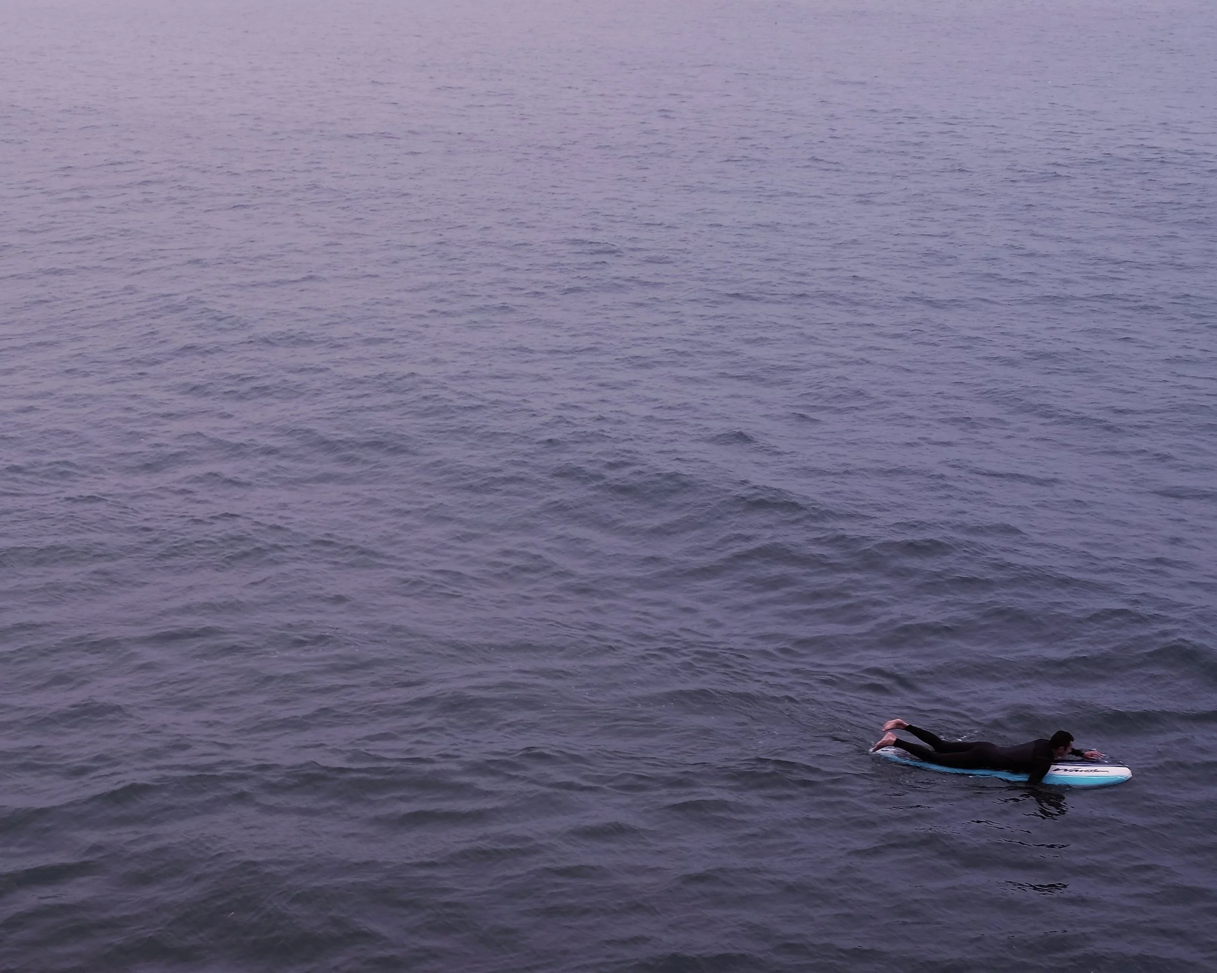 Pacific Ocean Surfer, March 2017, Santa Monica, California