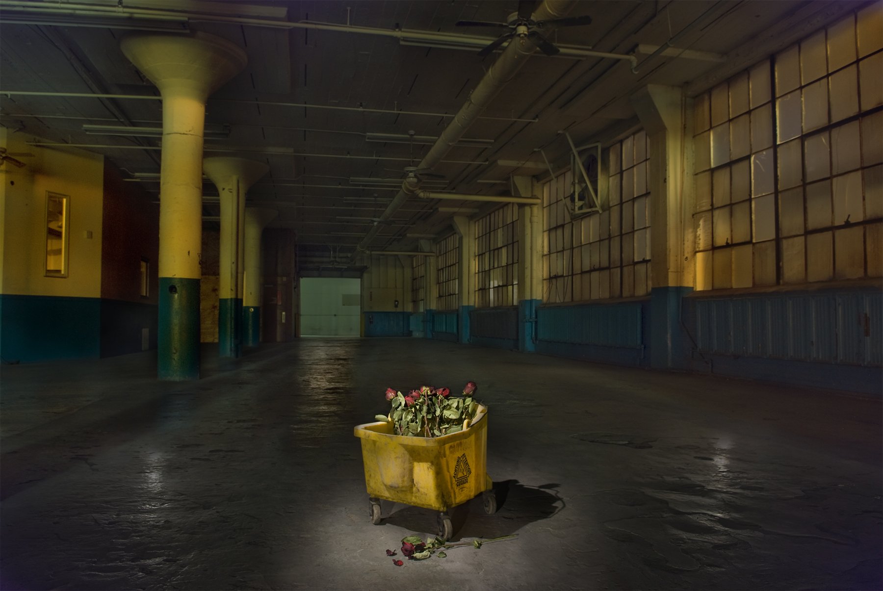 From Here, Who Knows?, Inner Space series, April 2009, Lakewood, Ohio