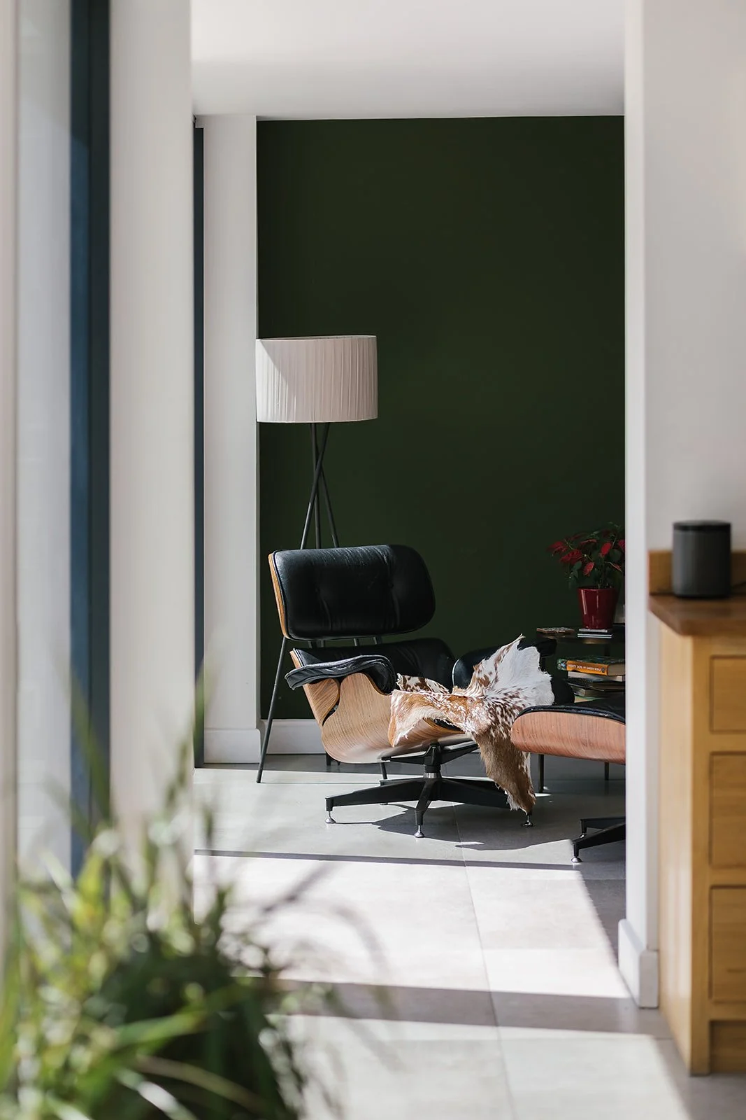 Indoor corner with black and wooden lounge chair, pink cushioned ottoman, standing lamp, green wall, red poinsettia plant, and some books on a small black table.