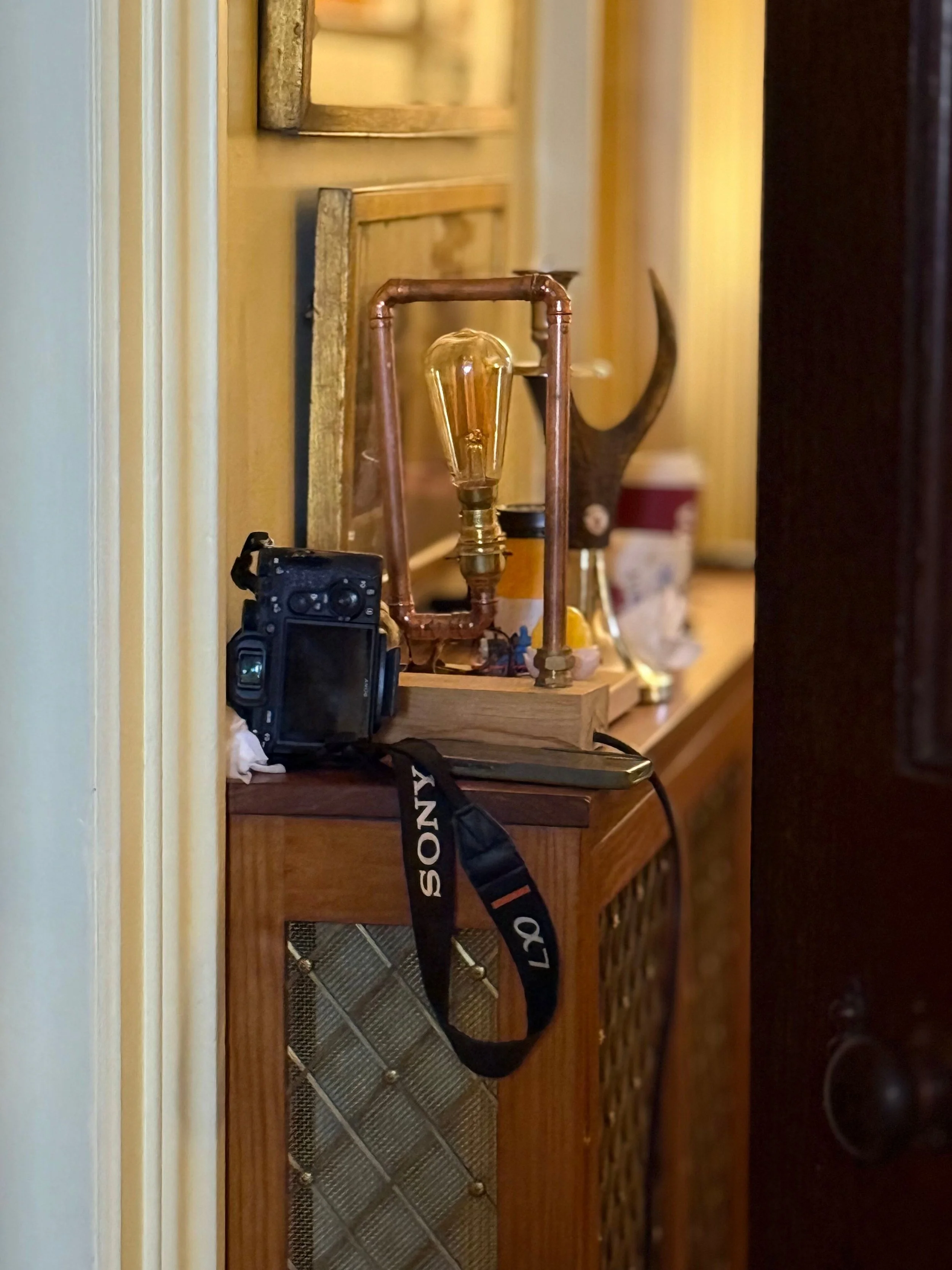 A wooden cabinet with a vintage lamp, a camera with a strap, and various small decorative items on top, including a jar and an antler.
