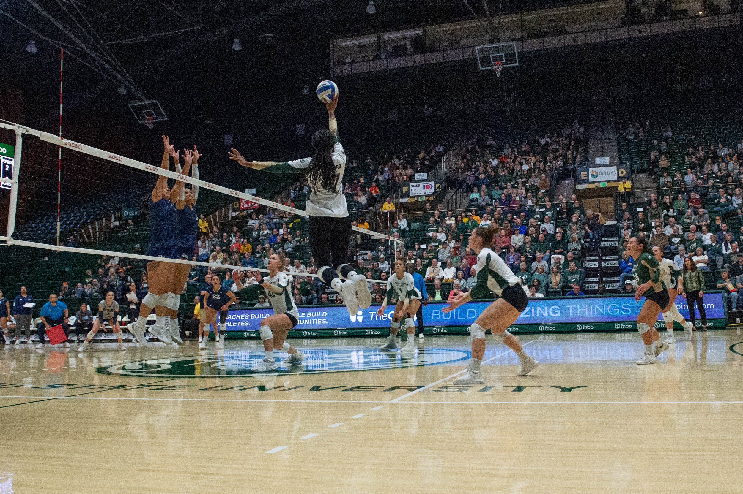 colorado-state-university-volleyball_54156435531_o.jpg