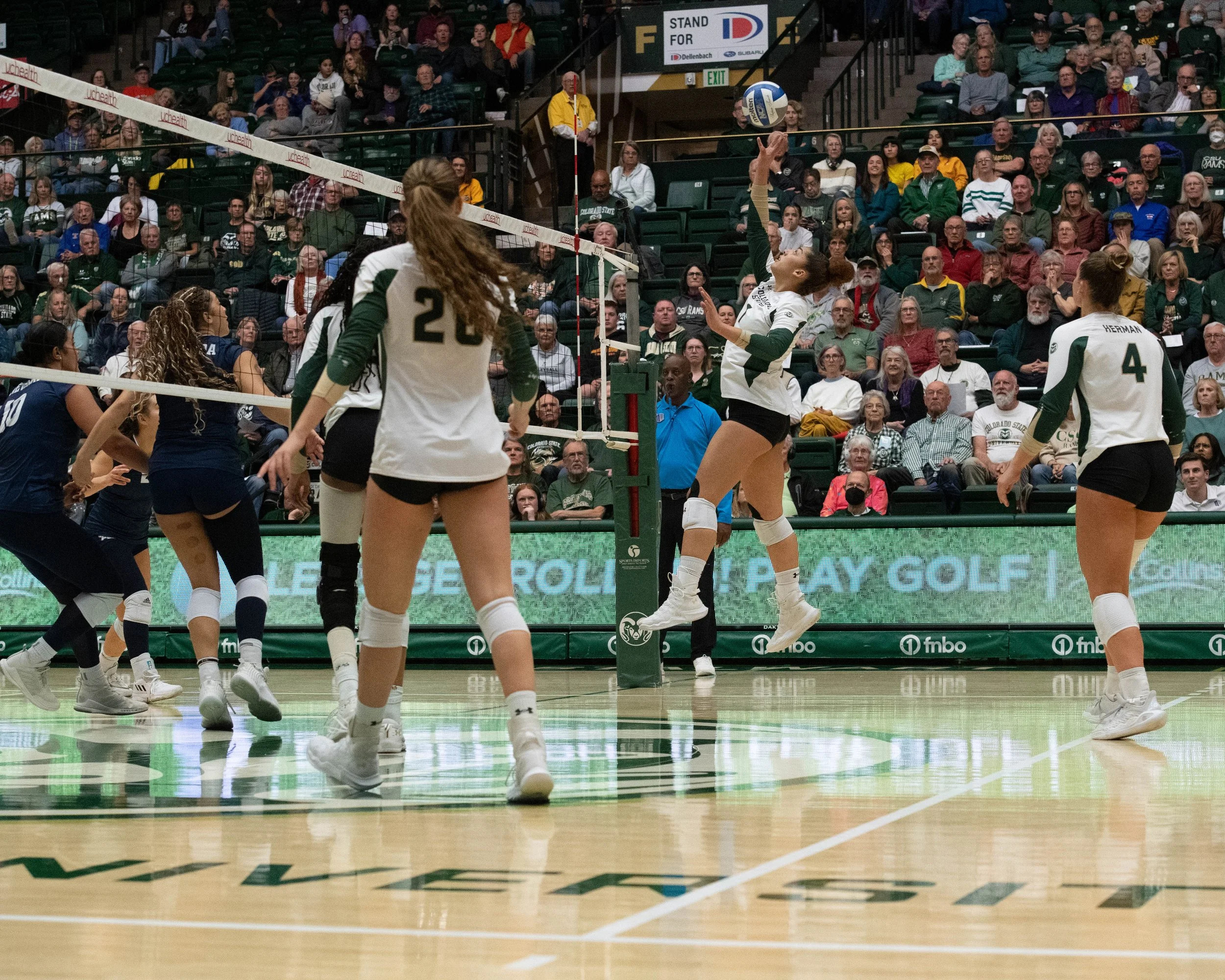 colorado-state-university-volleyball_54156436081_o.jpg