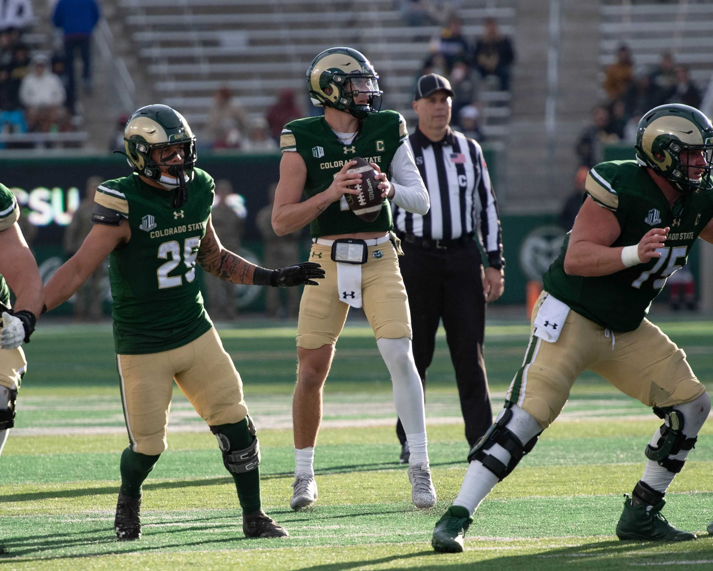 colorado-state-university_54172191467_o.jpg