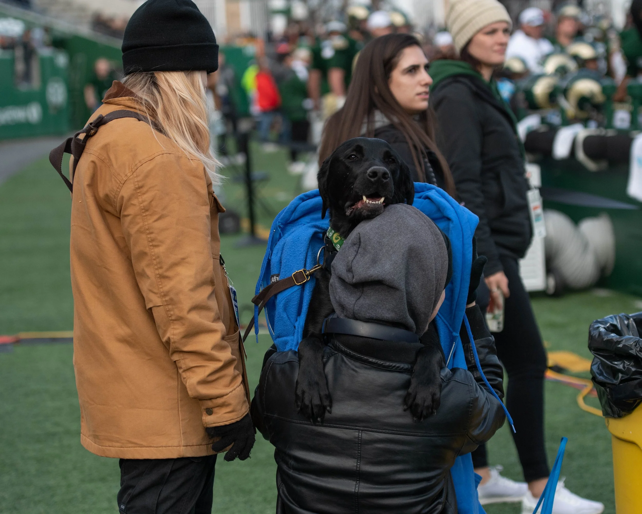 colorado-state-university_54173377139_o.jpg