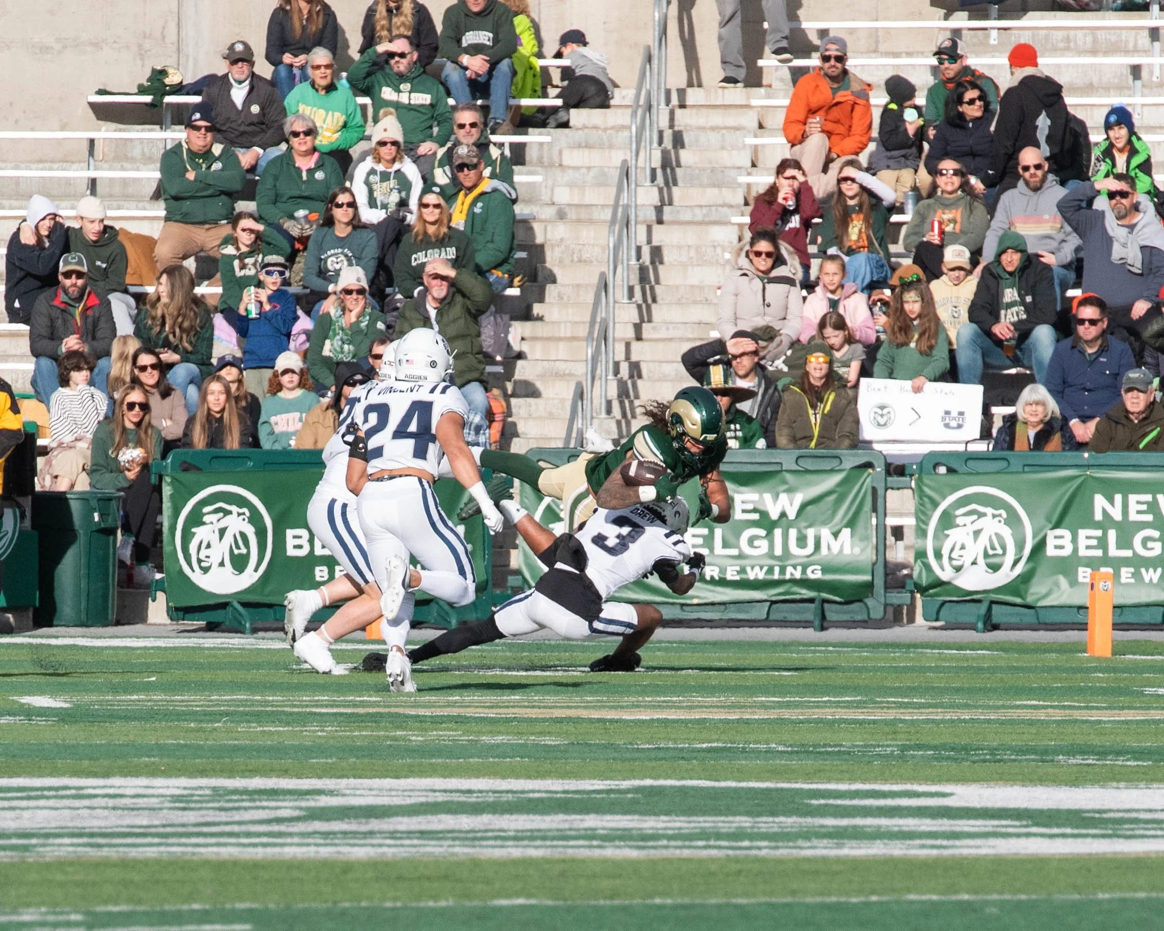 colorado-state-university_54173377699_o.jpg