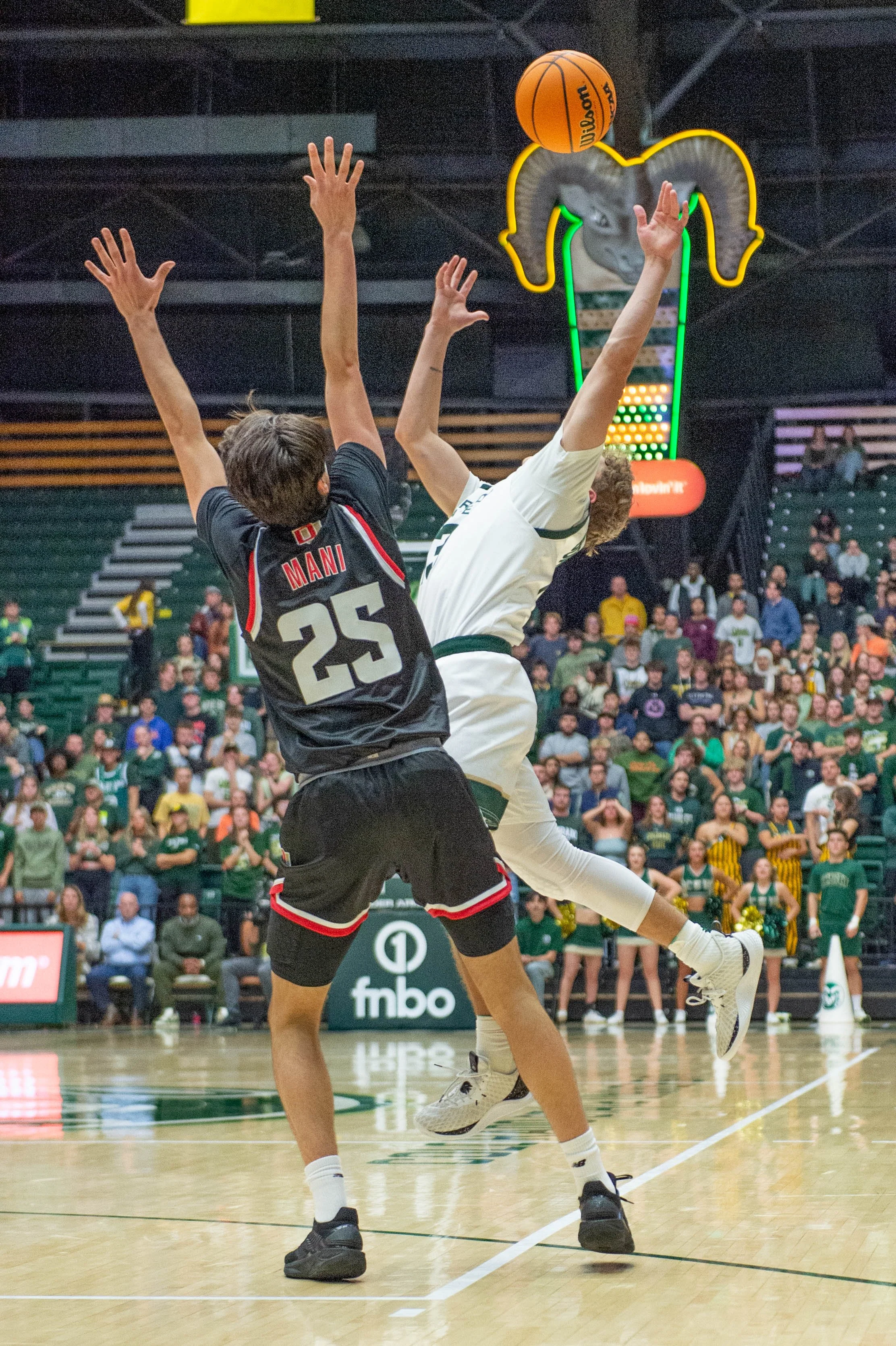 colorado-state-university_54136634983_o.jpg