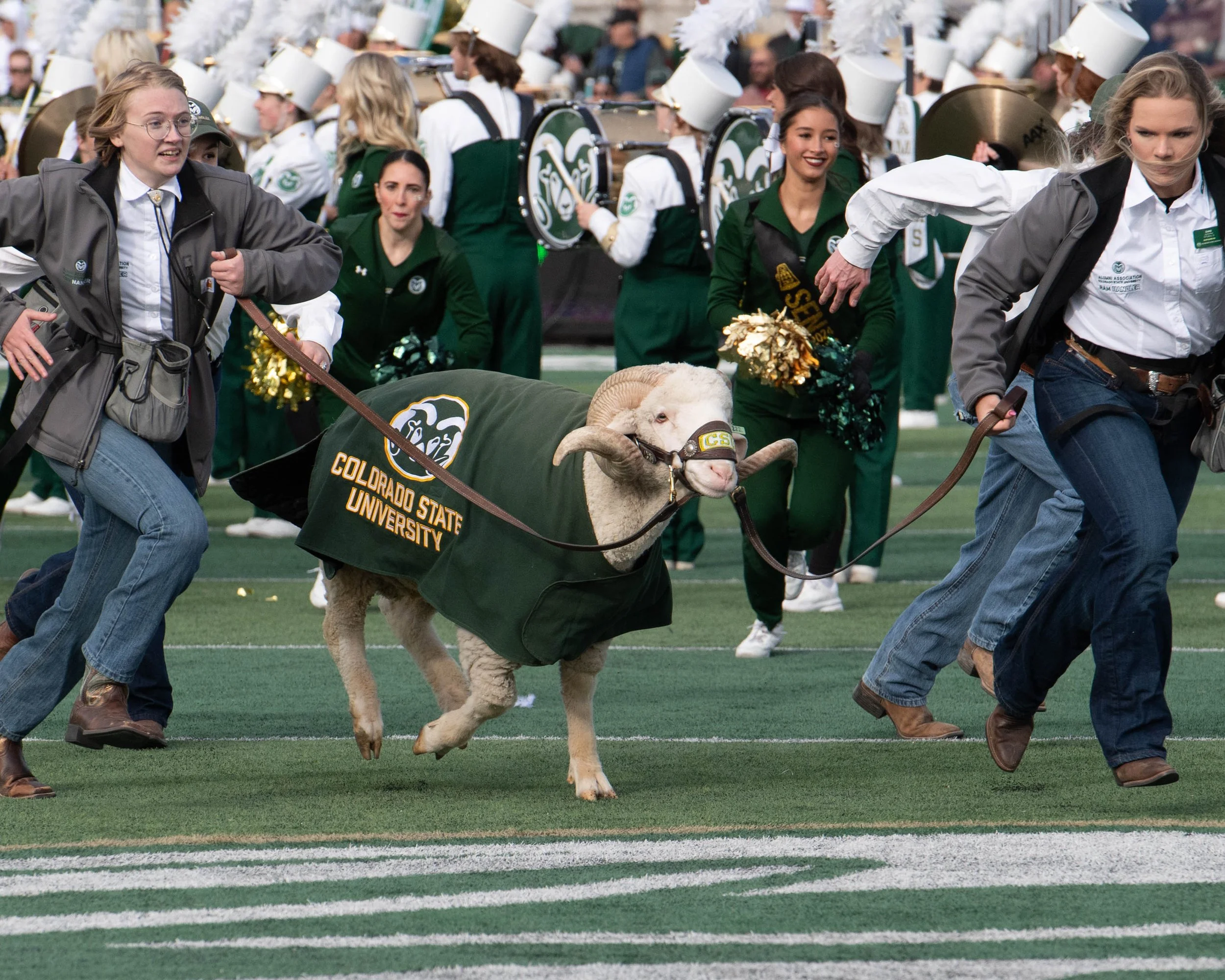 colorado-state-university_54173073696_o.jpg