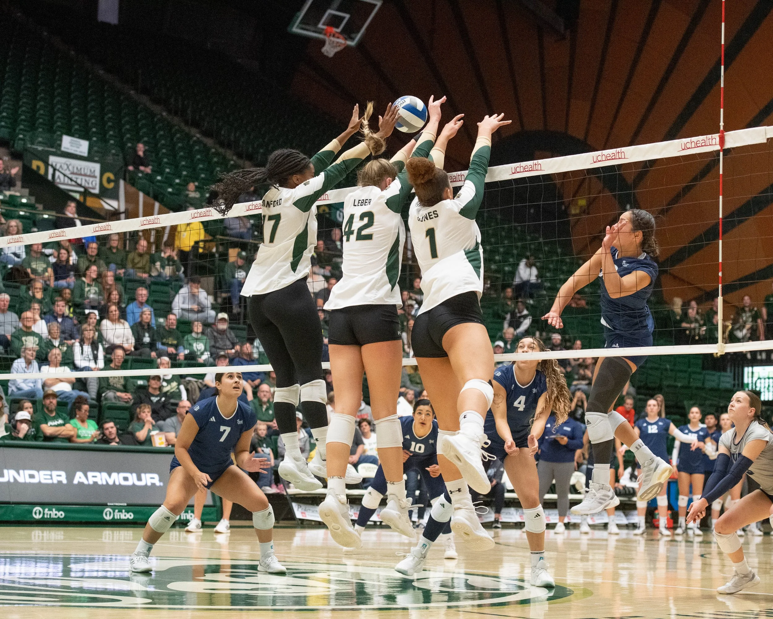 colorado-state-university-volleyball_54156435156_o.jpg