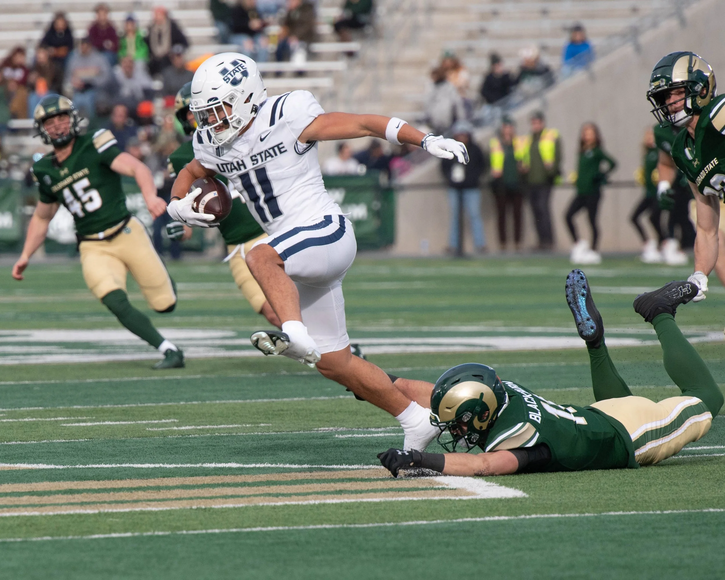colorado-state-university_54173517435_o.jpg