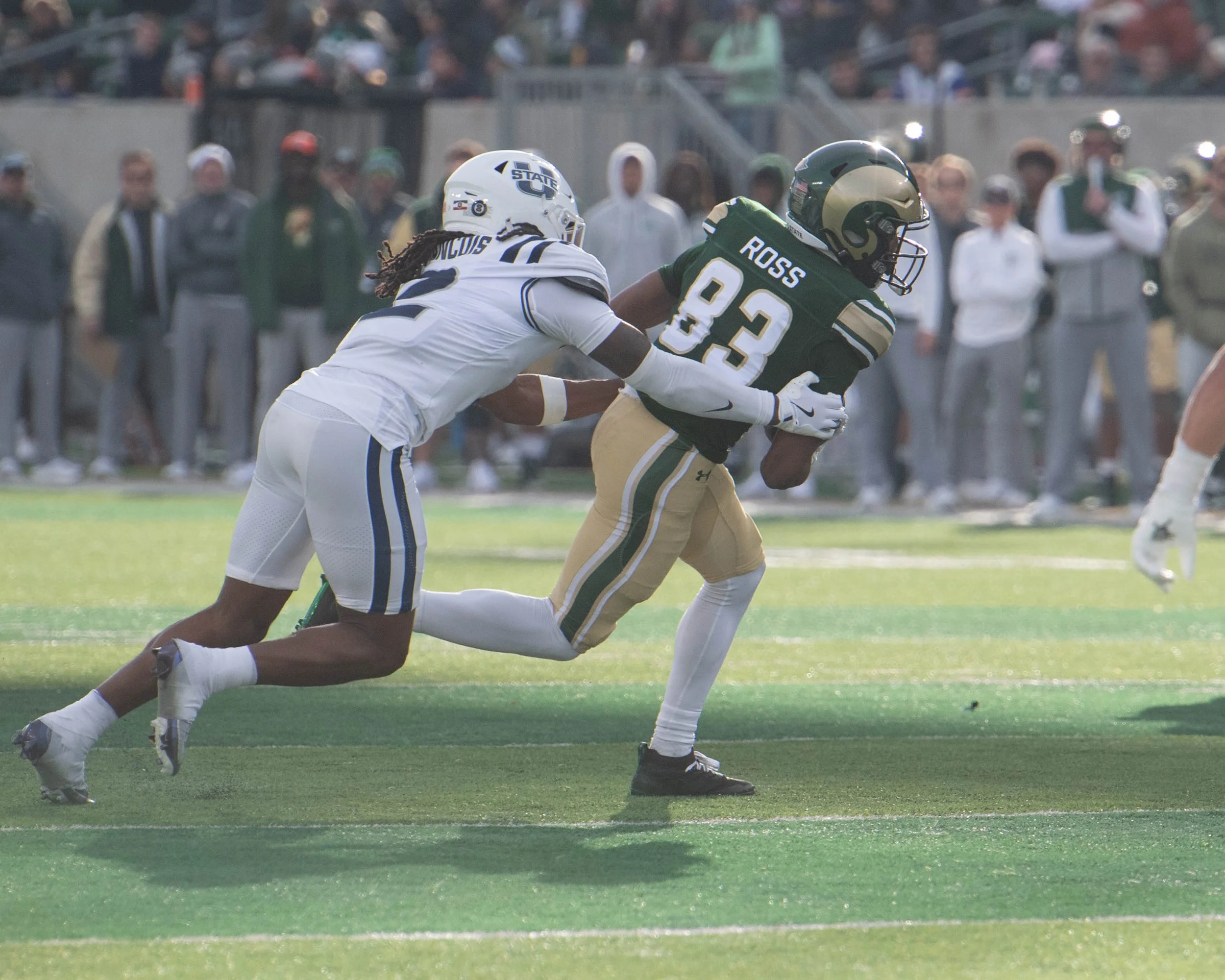 colorado-state-university_54173518360_o.jpg