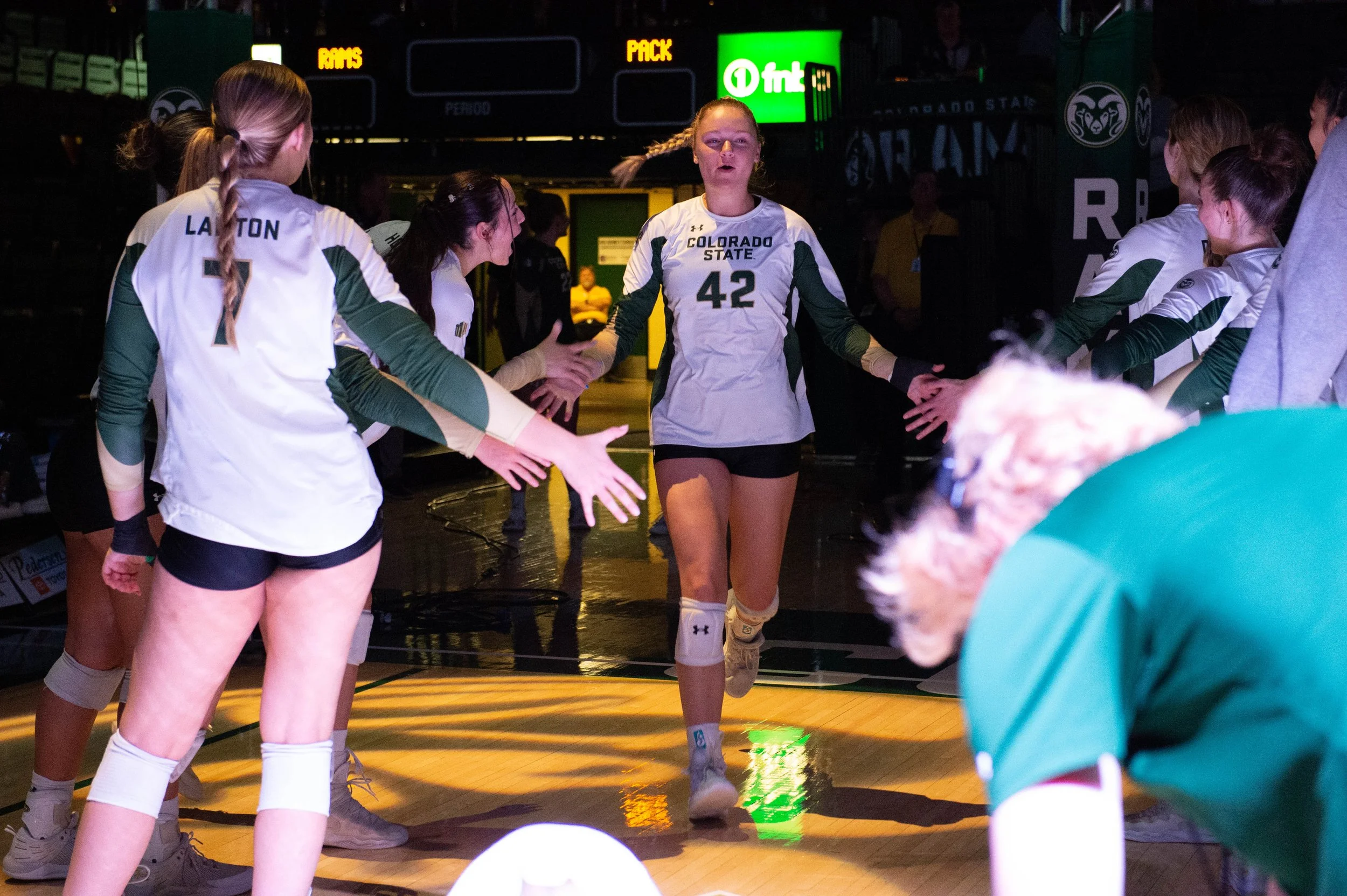 colorado-state-university-volleyball_54156893615_o.jpg
