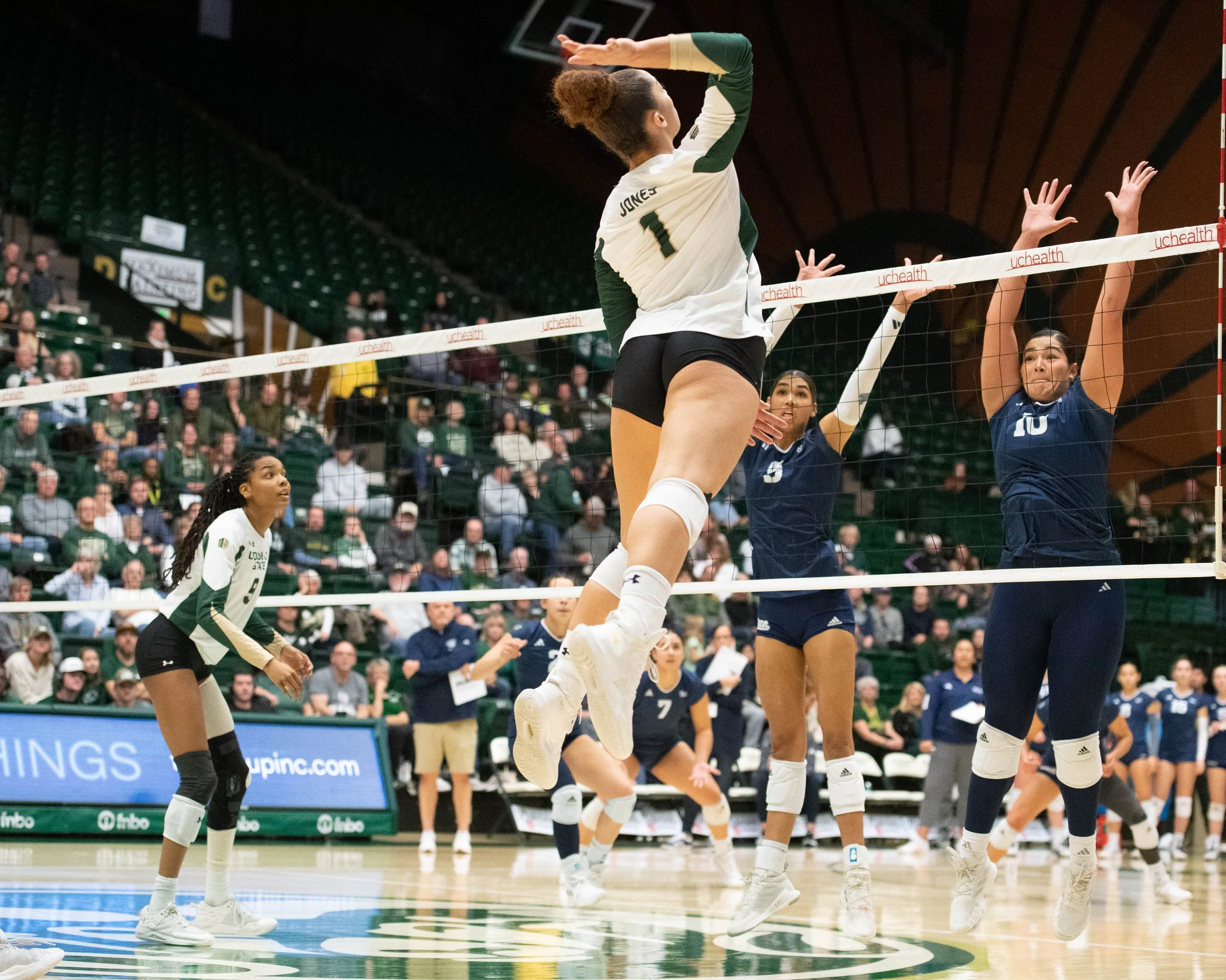 colorado-state-university-volleyball_54156434406_o.jpg
