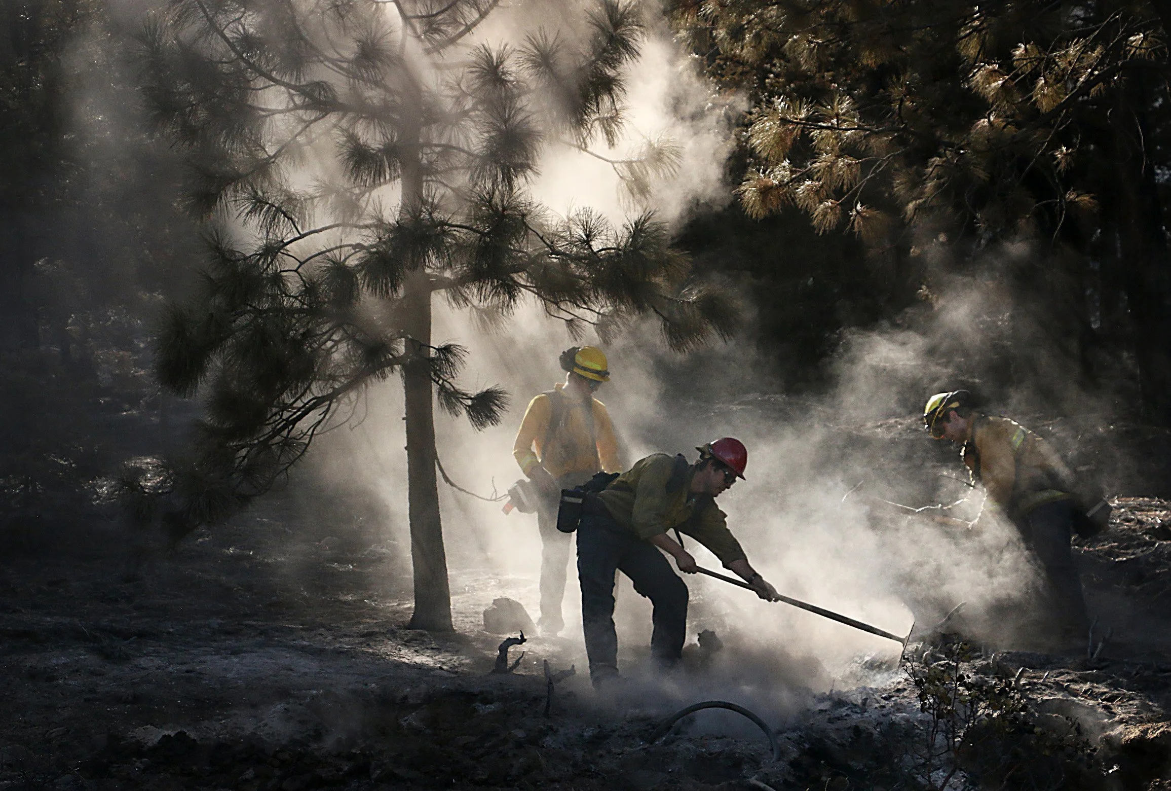Firefighters work to put out a hot spot and contain the Davis Fire alongside the Mt. Rose Hwy on Sept. 12, 2024. 