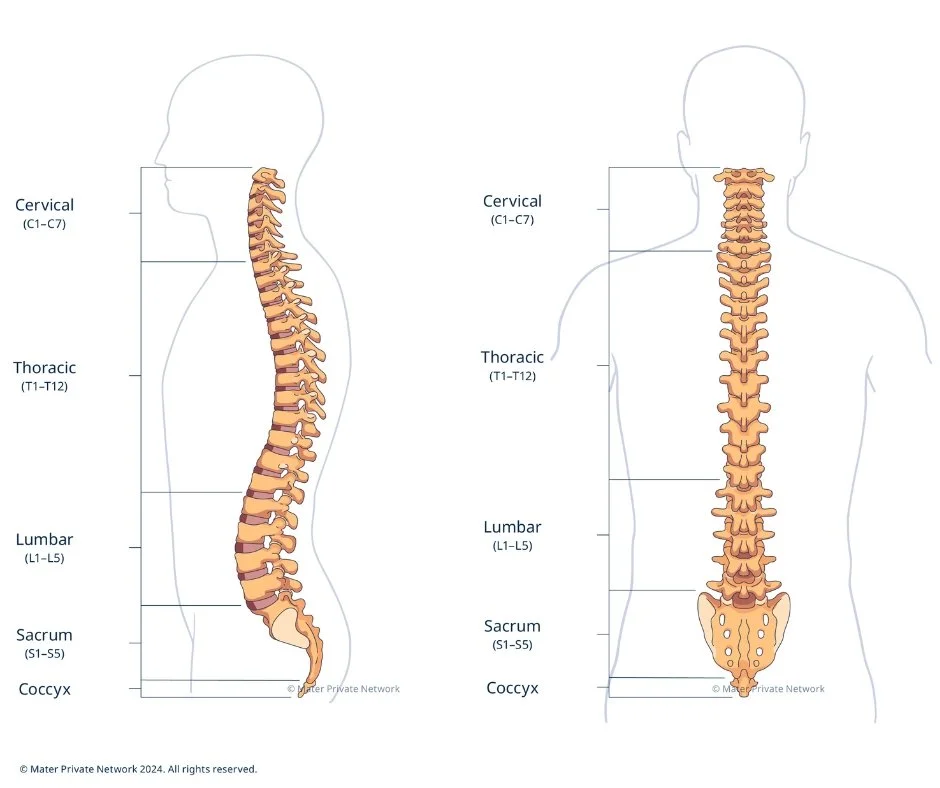 Lower Back Pain Treatment
